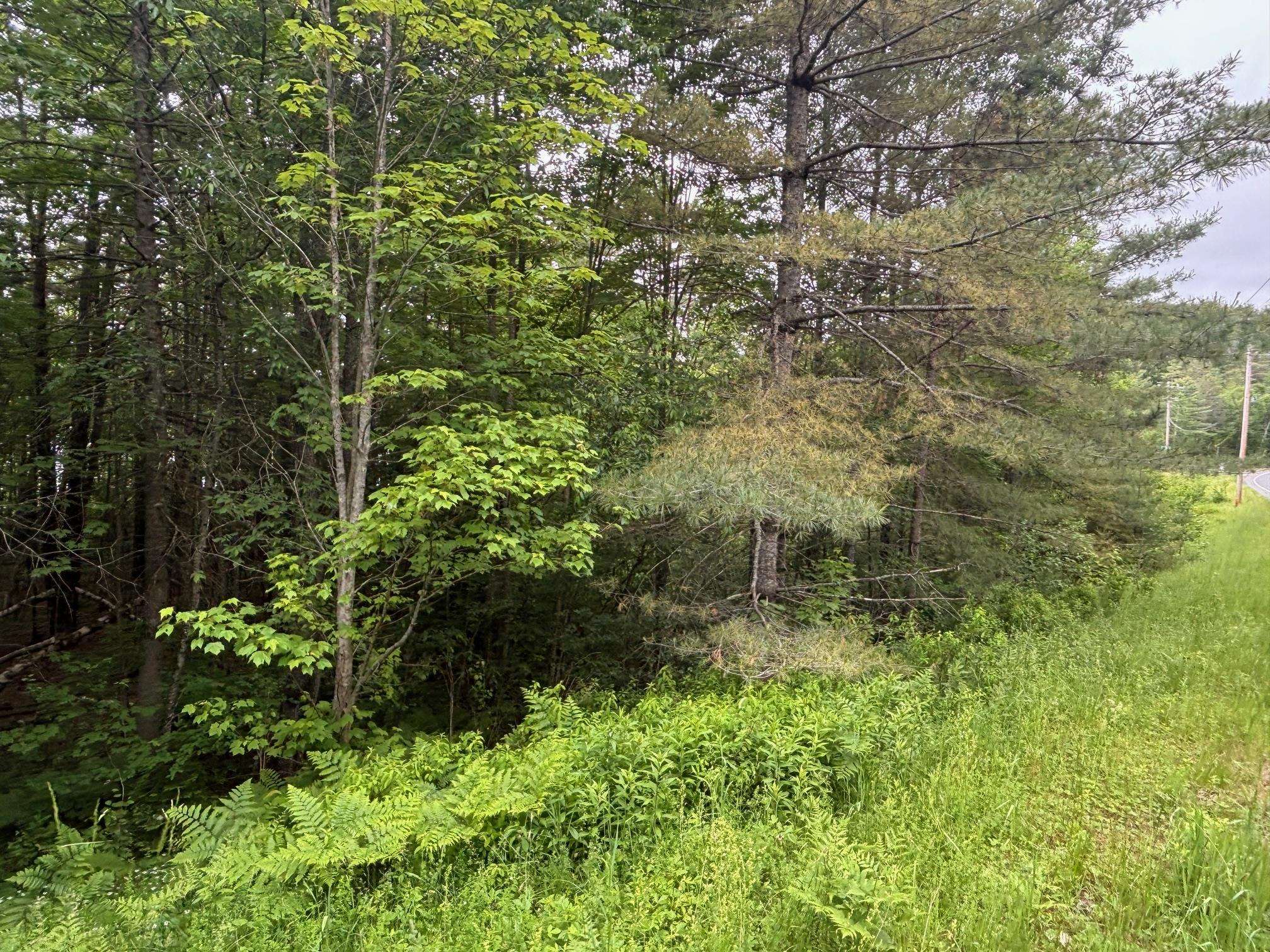 Homes for sale in Brighton, VT | 00 Vt Route 105, Brighton, VT 05846 | MLS# 5046996