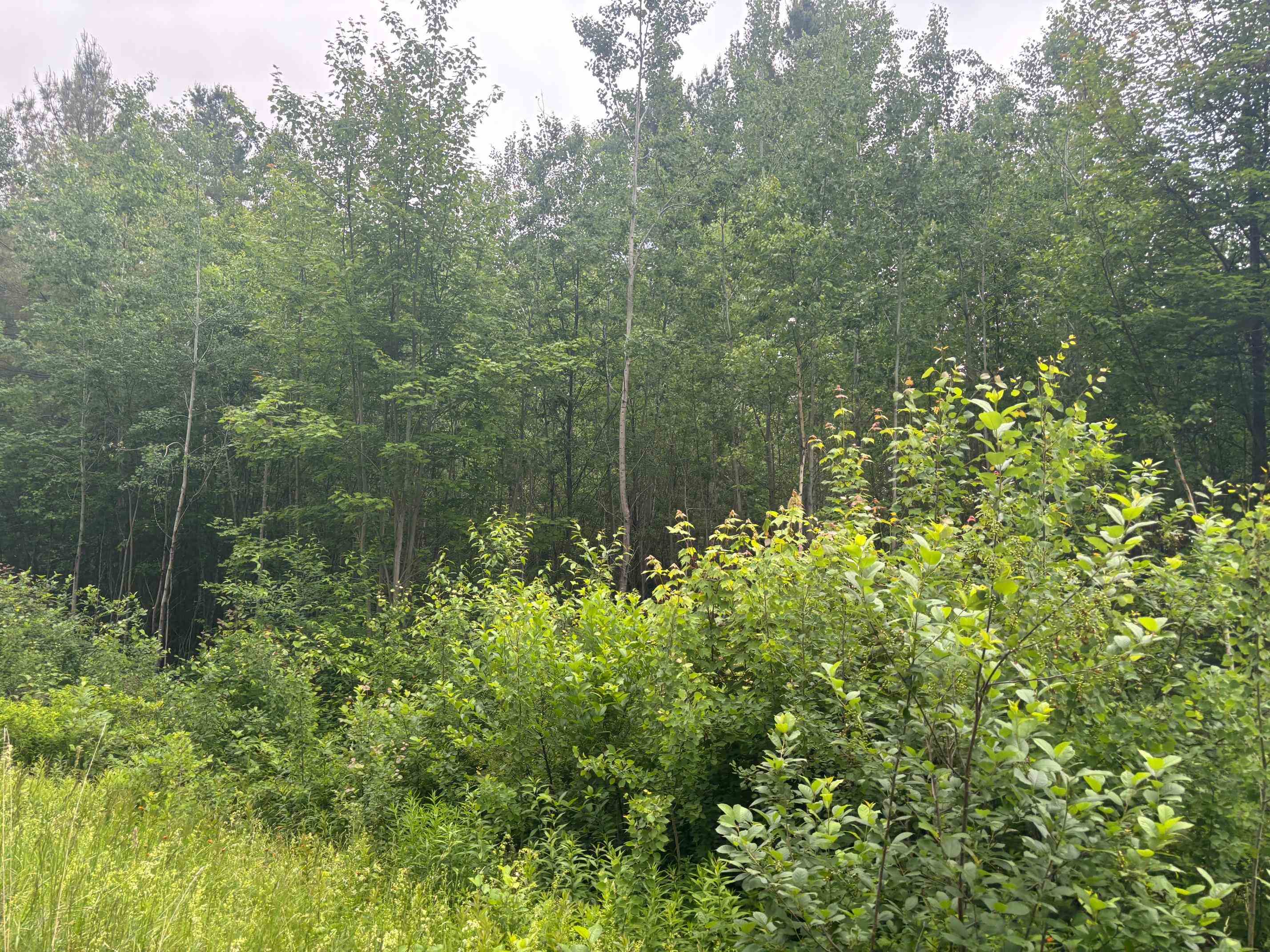 Homes for sale in Brighton, VT | 00 Vt Route 105, Brighton, VT 05846 | MLS# 5046996