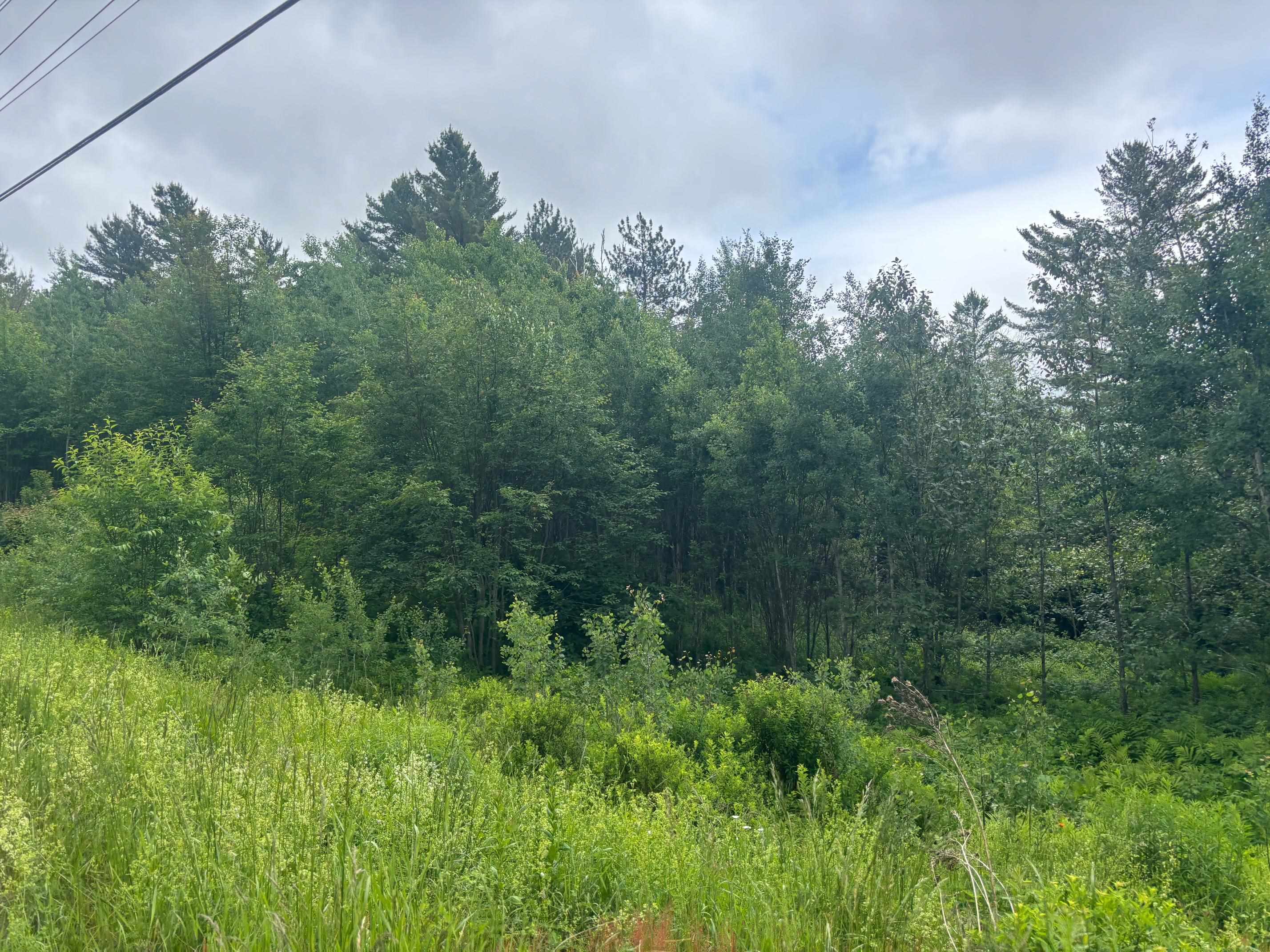 Homes for sale in Brighton, VT | 00 Vt Route 105, Brighton, VT 05846 | MLS# 5046996