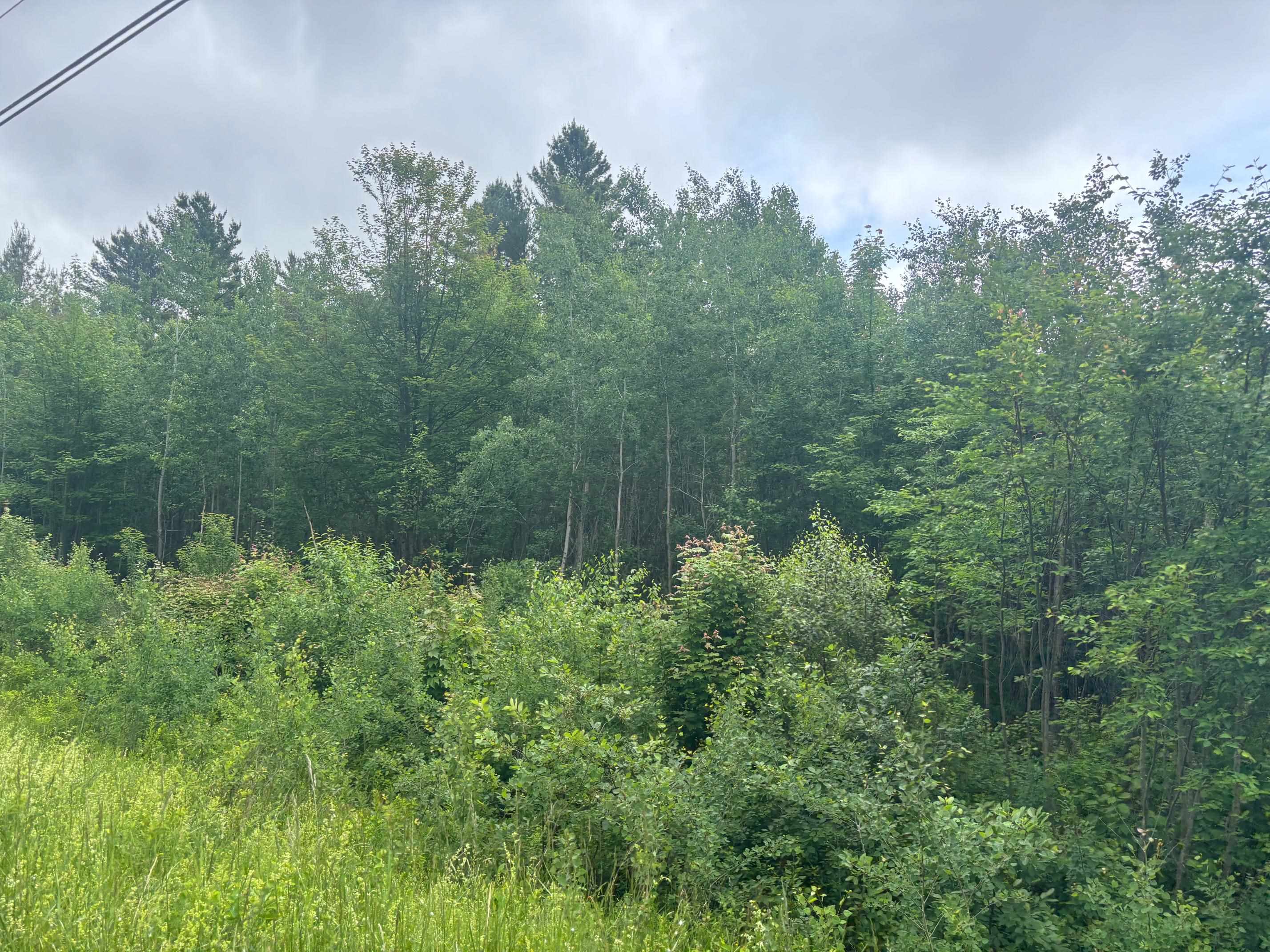 Homes for sale in Brighton, VT | 00 Vt Route 105, Brighton, VT 05846 | MLS# 5046996