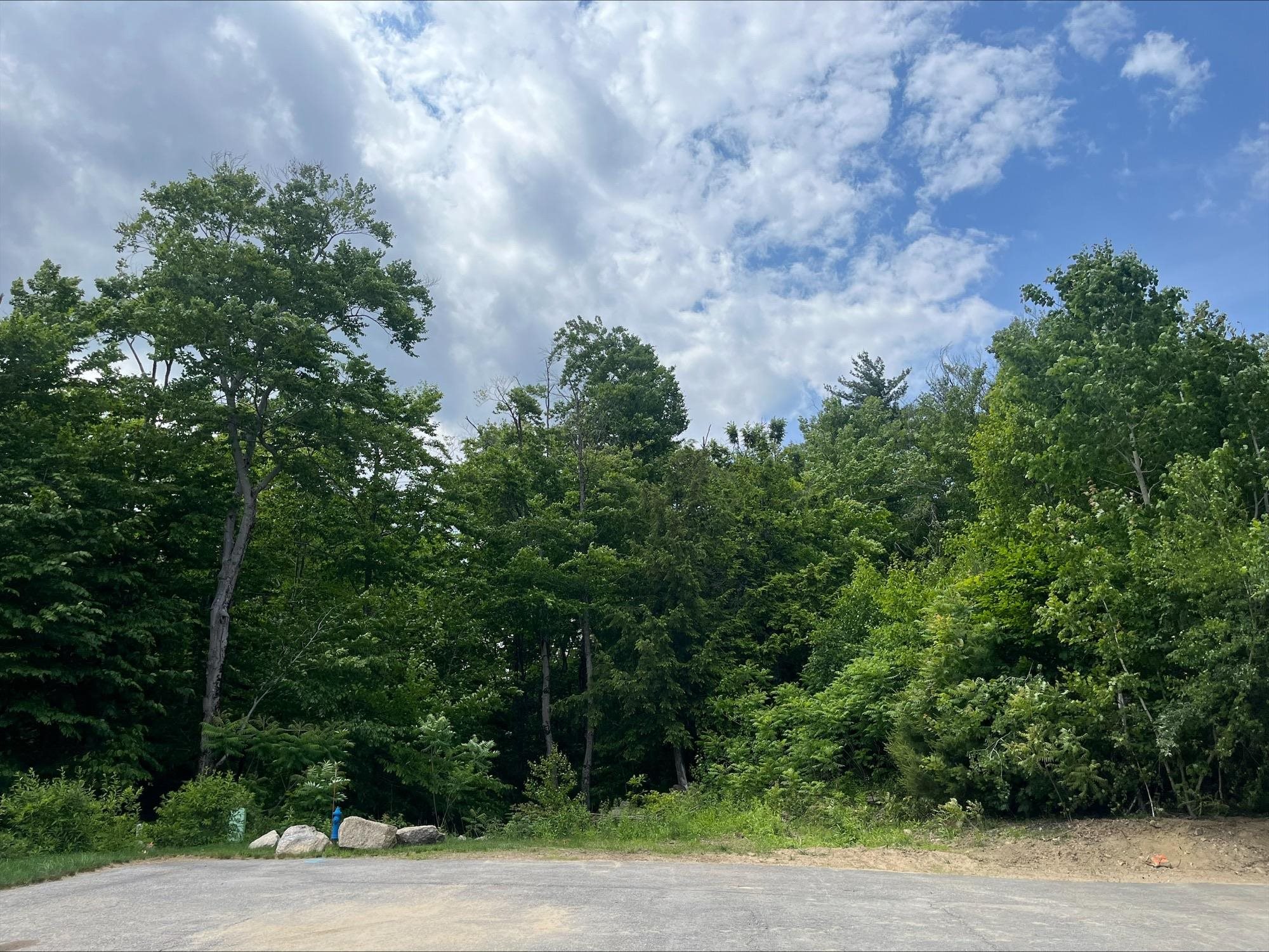 Homes for sale in Bartlett, NH | 7 Beechwoods At Intervale Dr, Bartlett, NH 03812 | MLS# 5047028