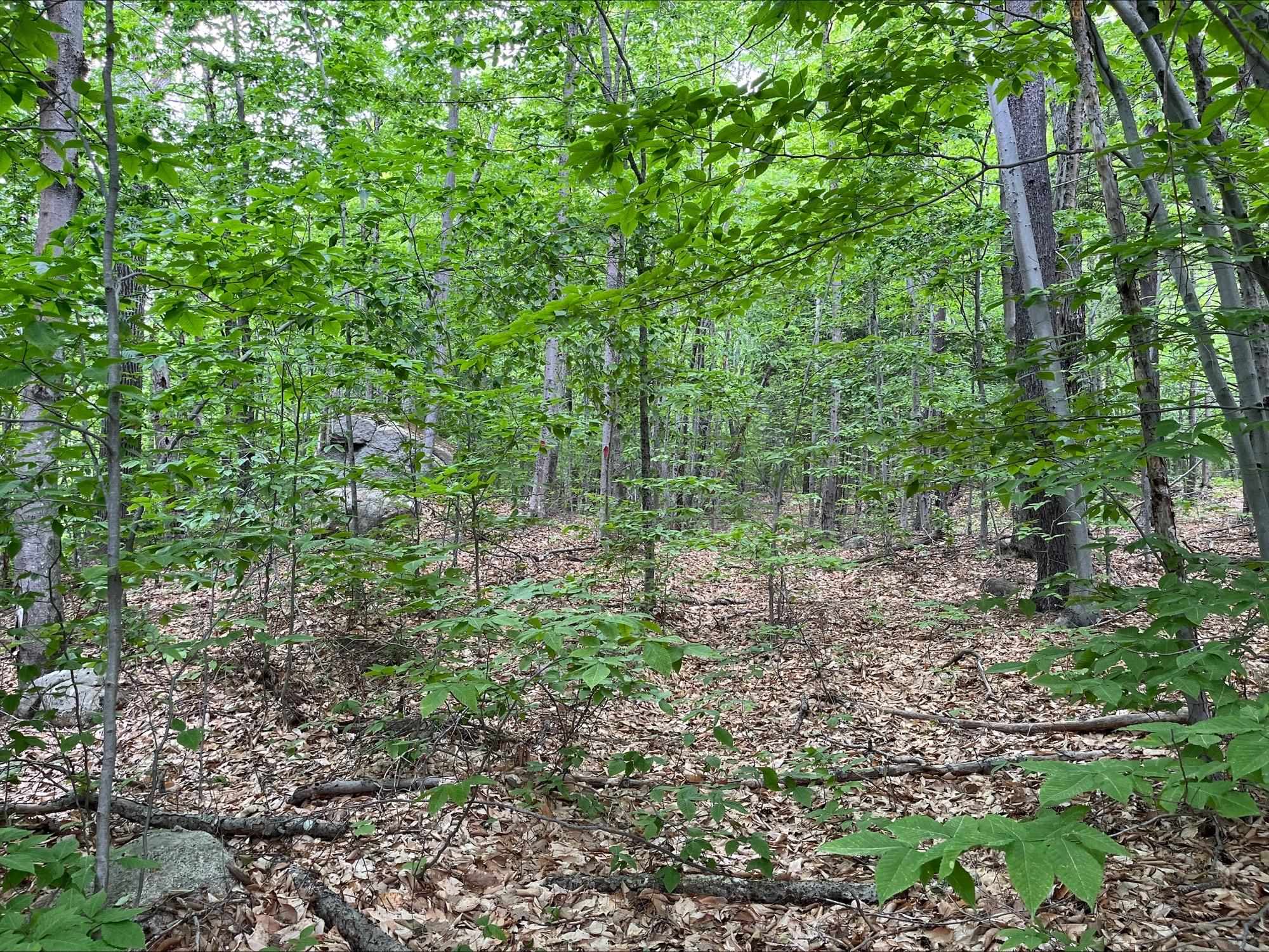 Homes for sale in Bartlett, NH | 7 Beechwoods At Intervale Dr, Bartlett, NH 03812 | MLS# 5047028