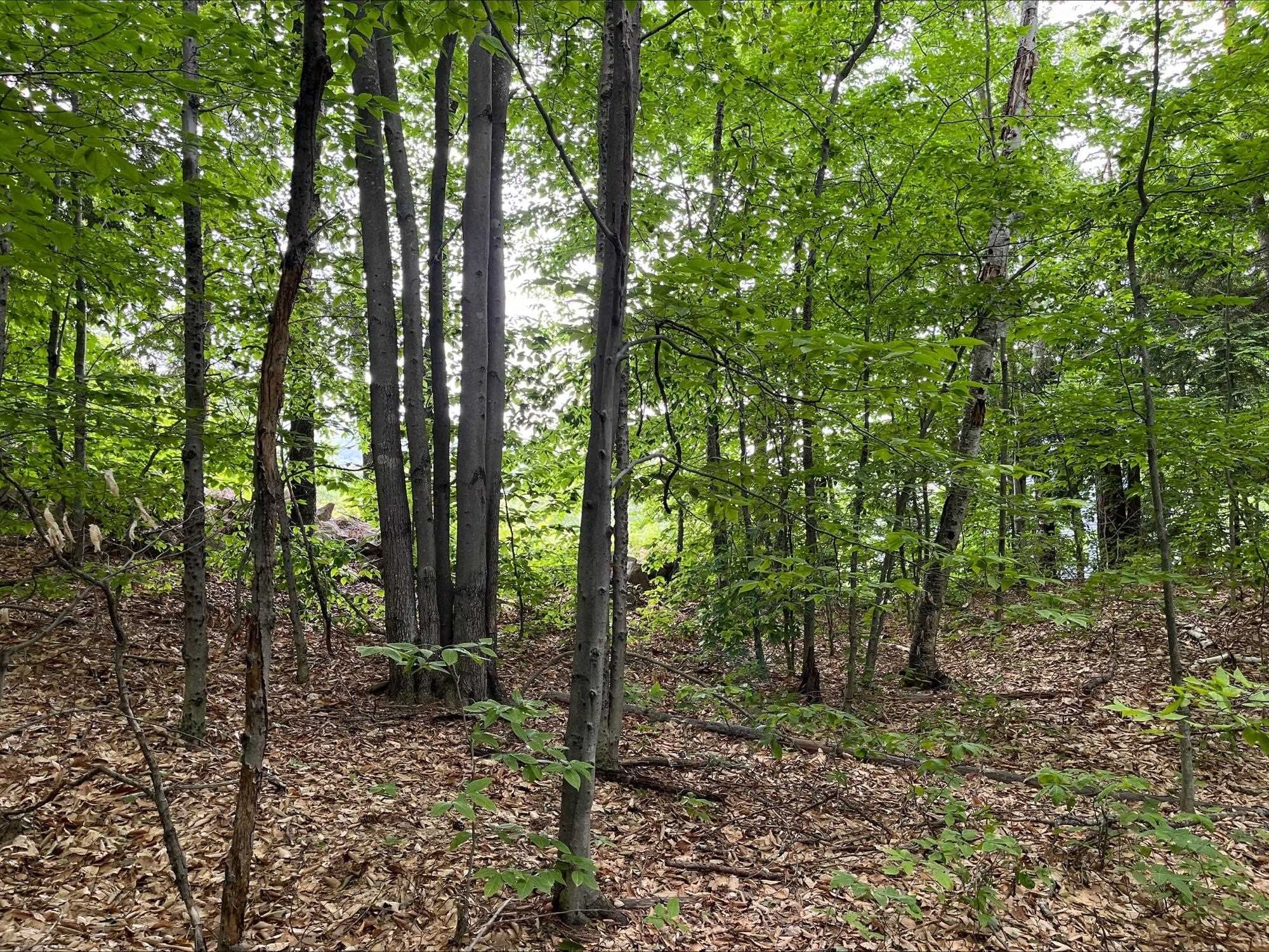 Homes for sale in Bartlett, NH | 7 Beechwoods At Intervale Dr, Bartlett, NH 03812 | MLS# 5047028