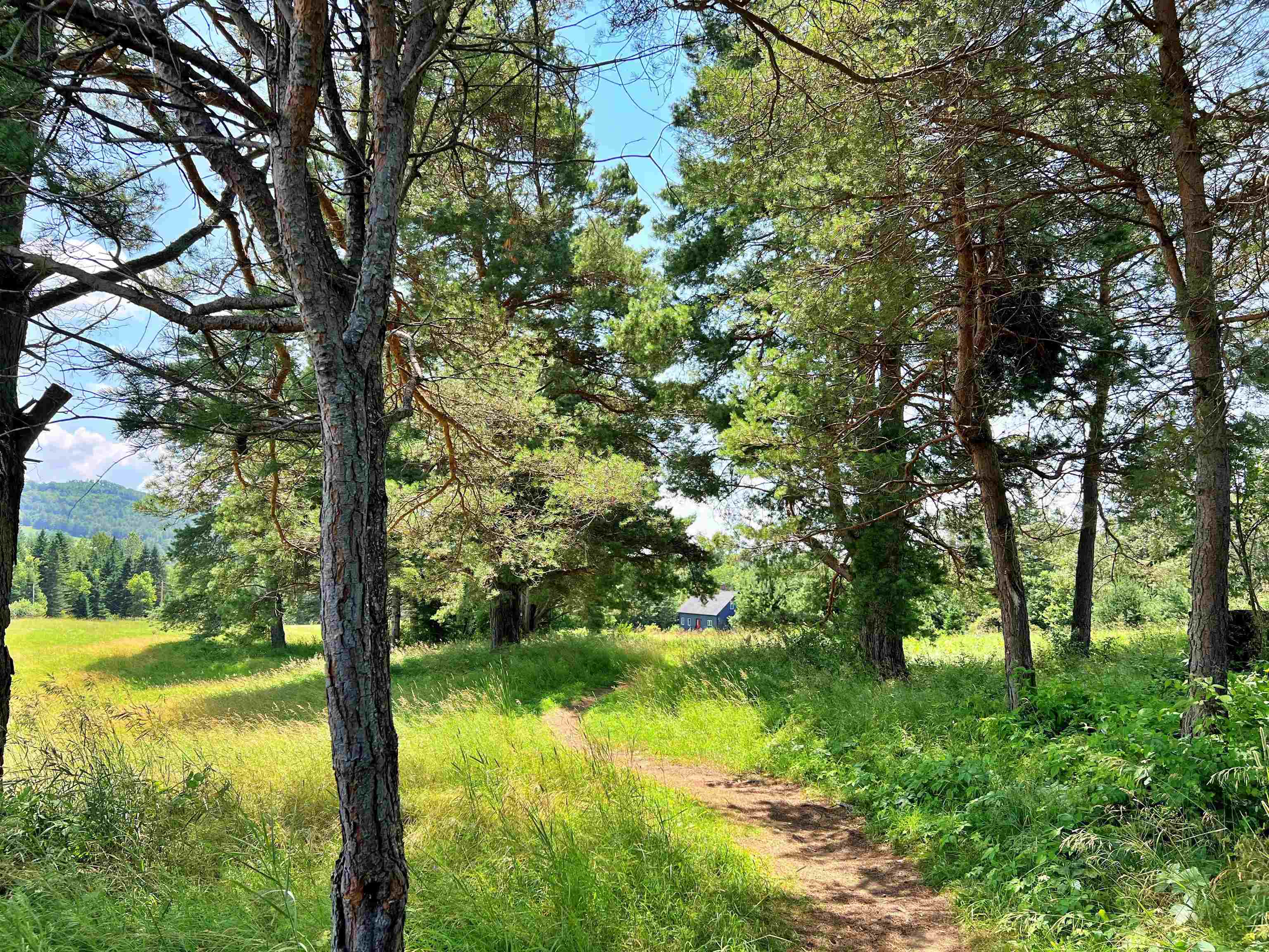 Homes for sale in Lyndon, VT | 0 River Run Rd, Lyndon, VT 05851 | MLS# 5047074