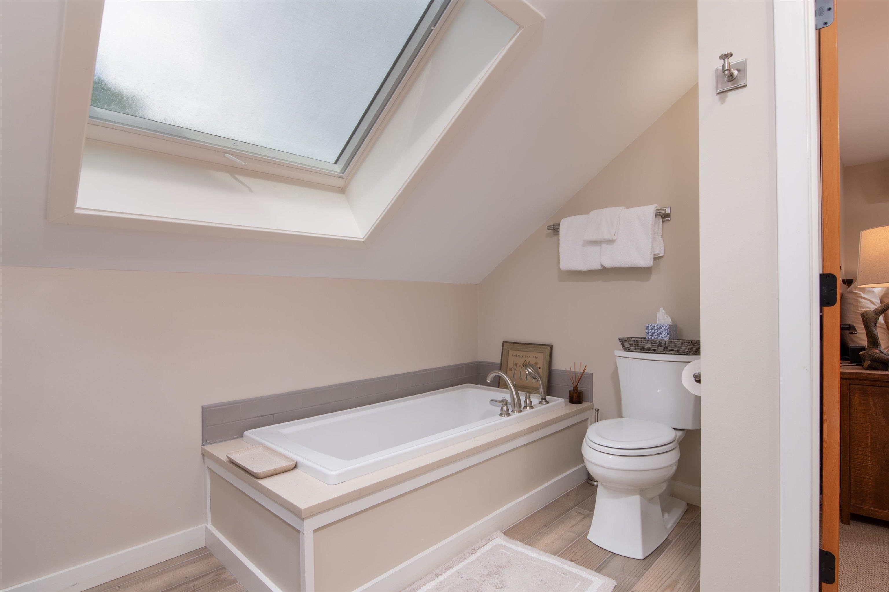 Along with a Bathtub 23513826