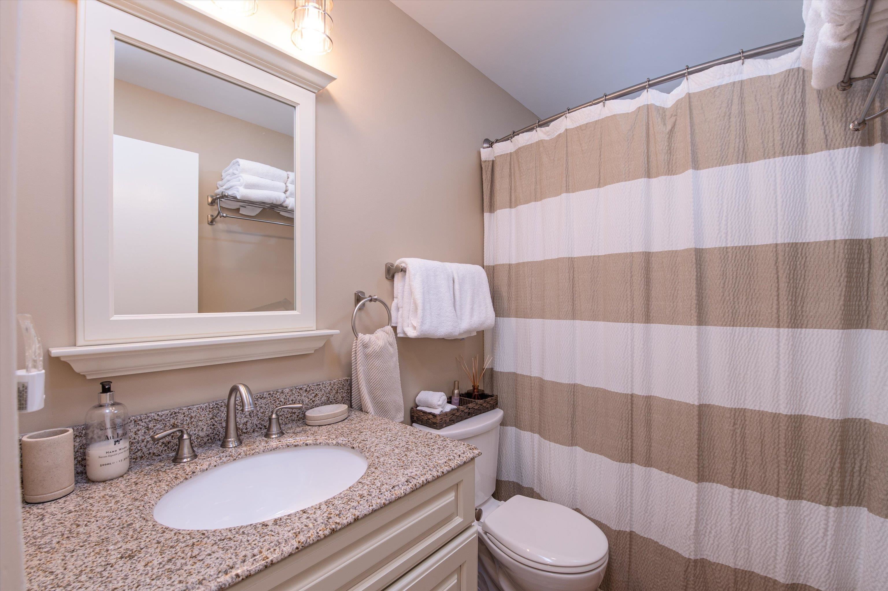 Lower Level Full Bath 23513845