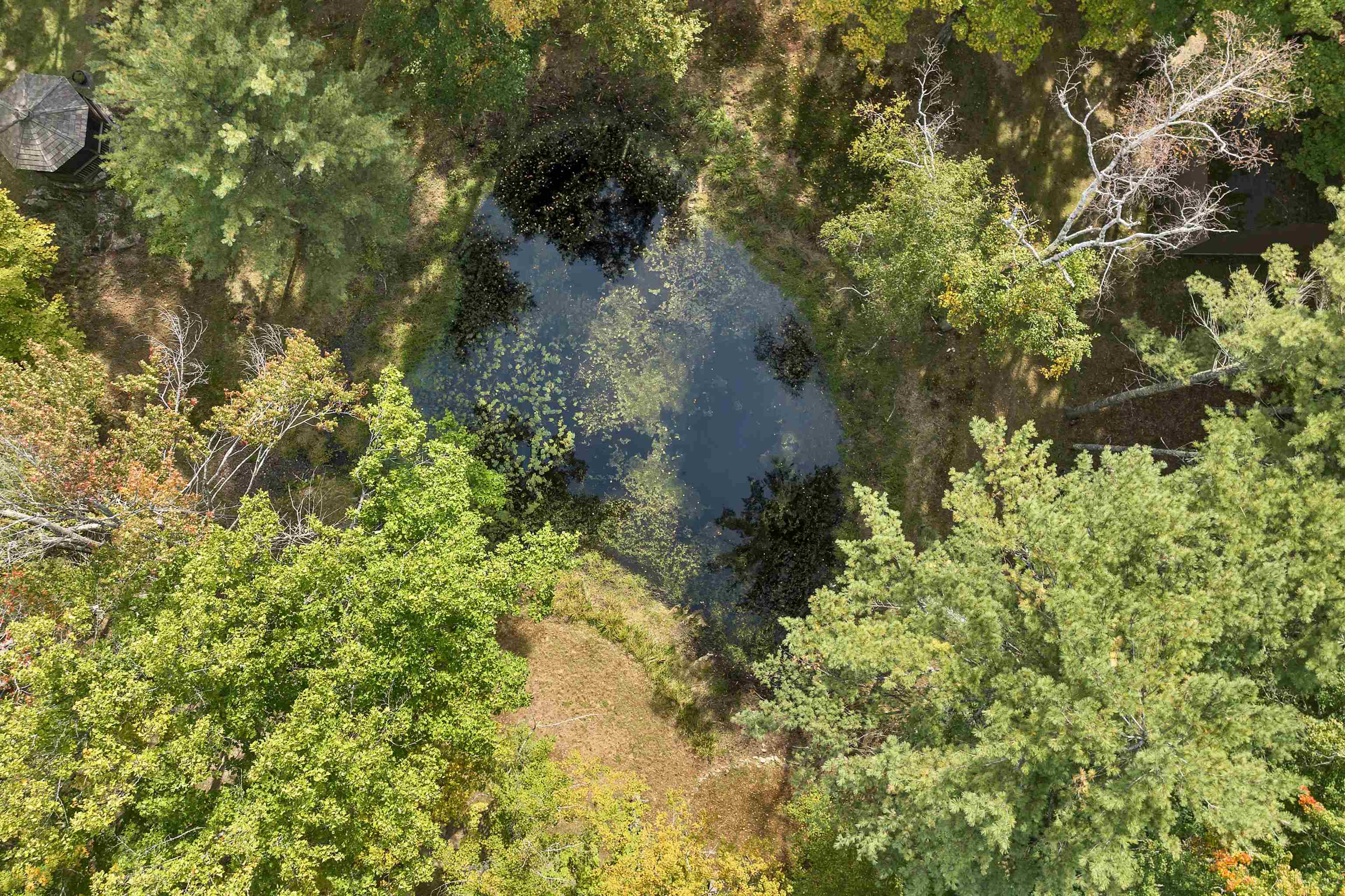 MLS #5047224 image #32