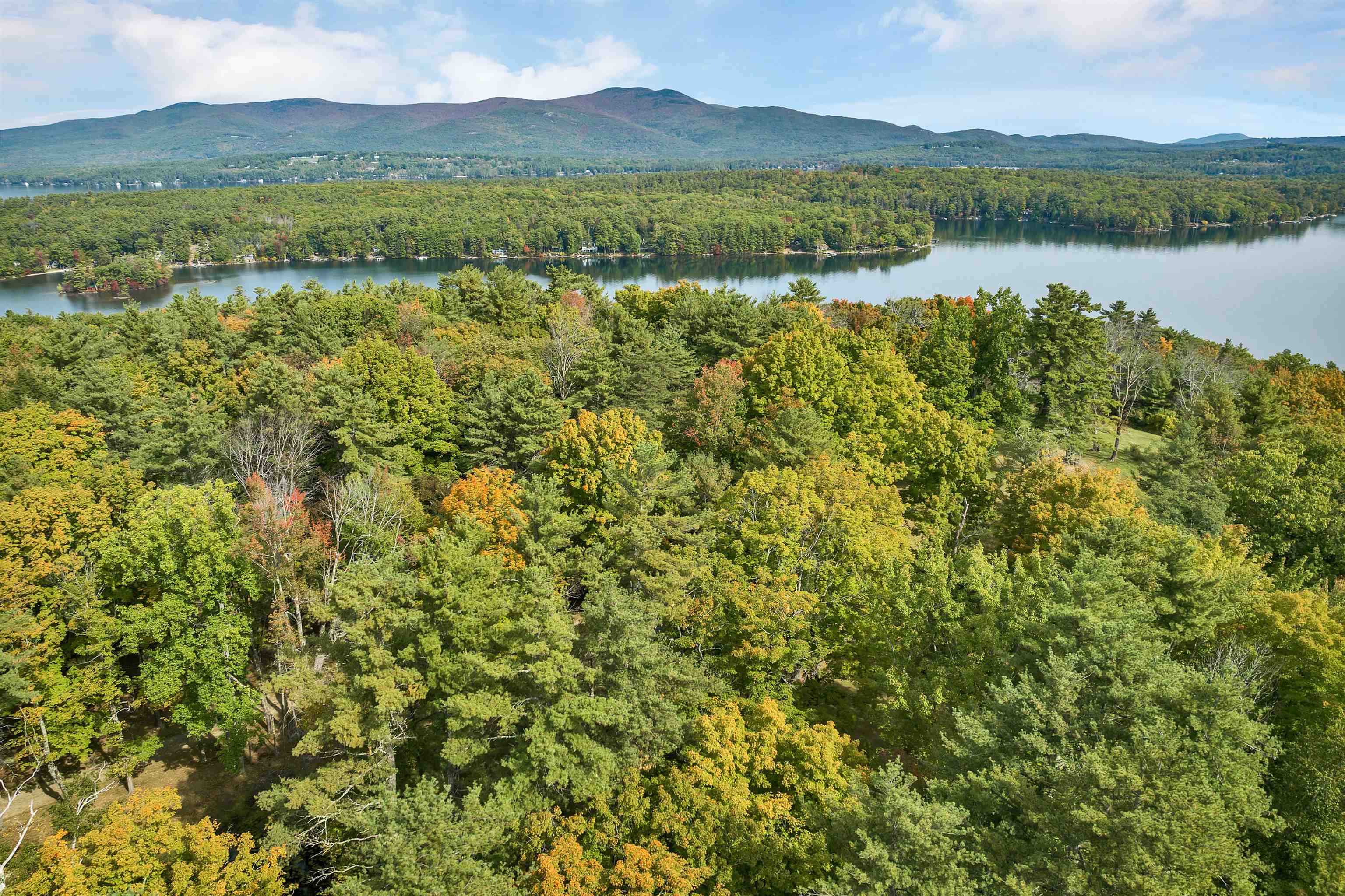 MLS #5047224 image #40