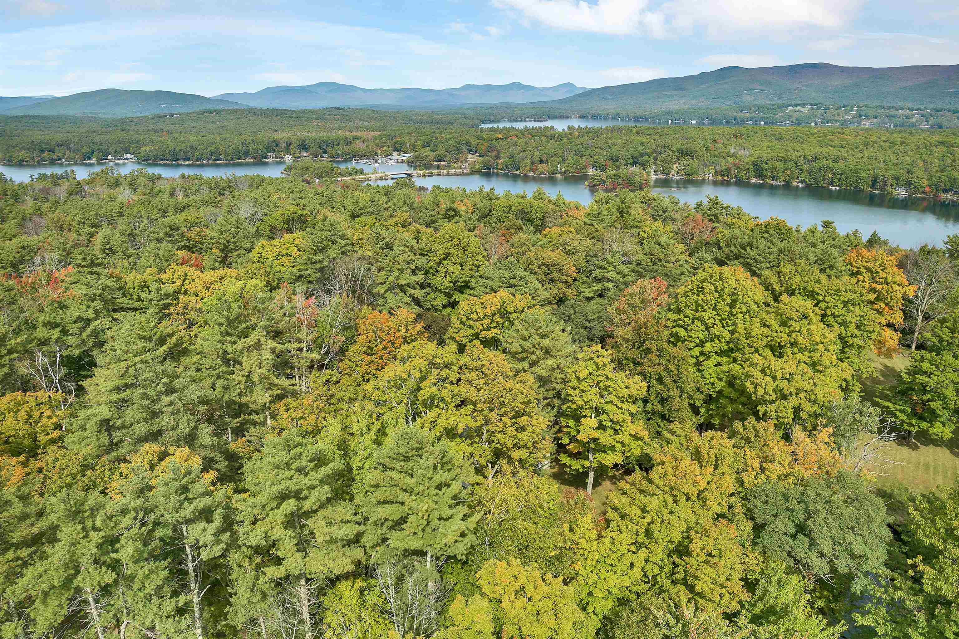 MLS #5047224 image #41