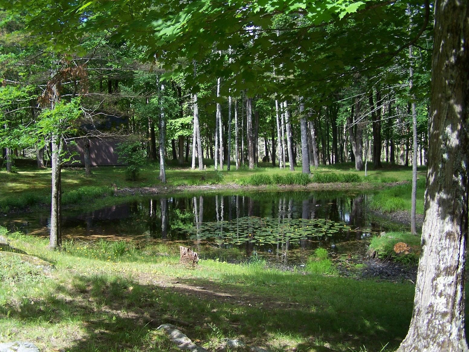 MLS #5047224 image #8