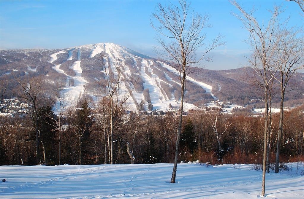 Homes for sale in Wilmington, VT | 394 Haystack Rd #2, Wilmington, VT 05363 | MLS# 5047574