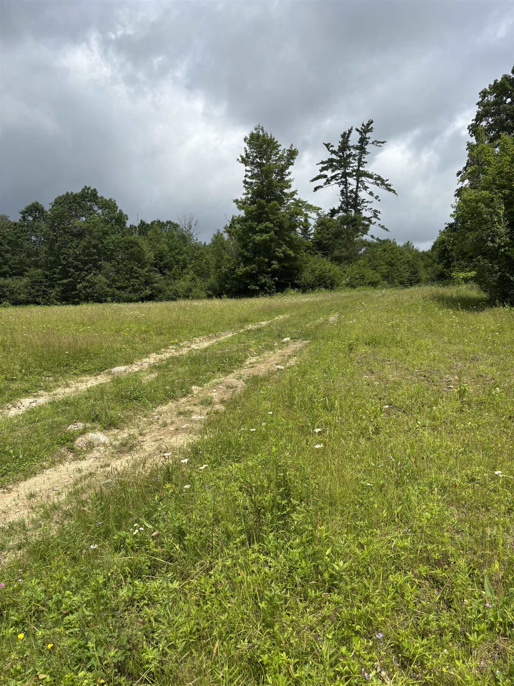 Homes for sale in Fitzwilliam, NH | 00 Fullam Hill Rd, Fitzwilliam, NH 03447 | MLS# 5047614