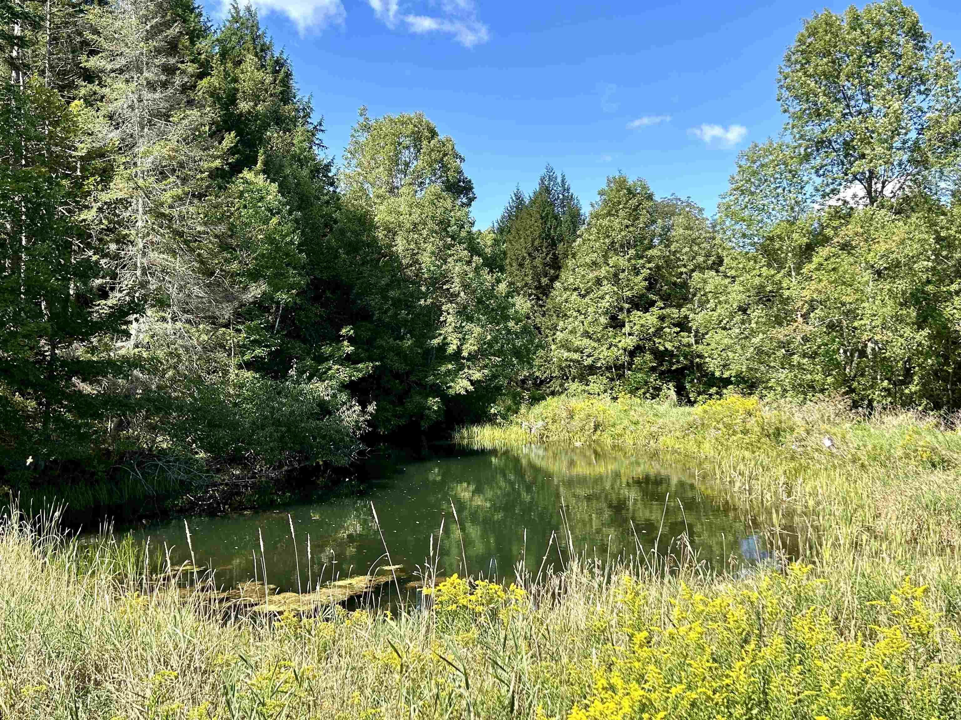 Homes for sale in Chelsea, VT | 00 Corinth Rd, Chelsea, VT 05038 | MLS# 5047669