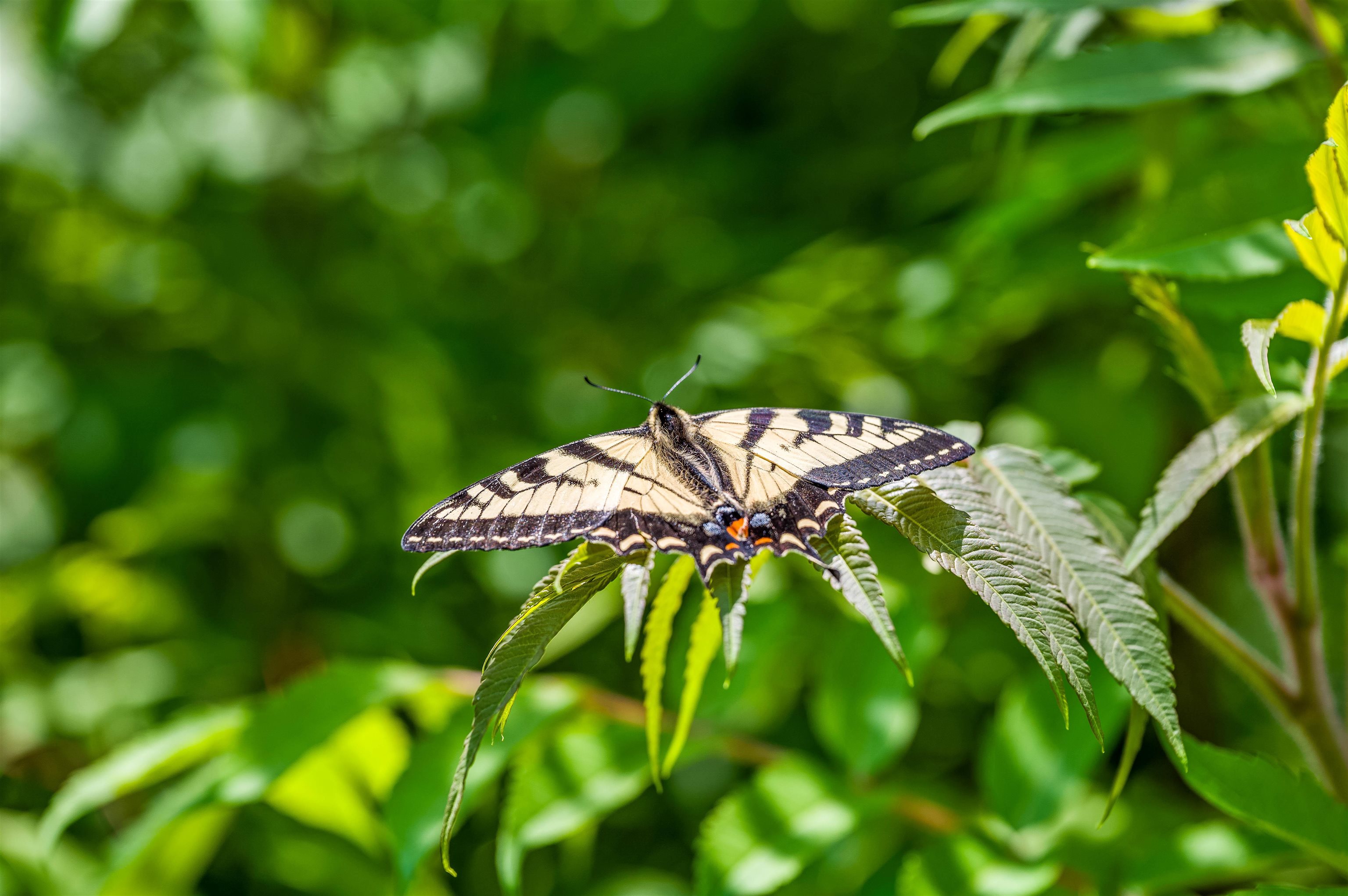 Homes for sale in Marshfield, VT | 3534 Us Route 2, Marshfield, VT 05658 | MLS# 5047712