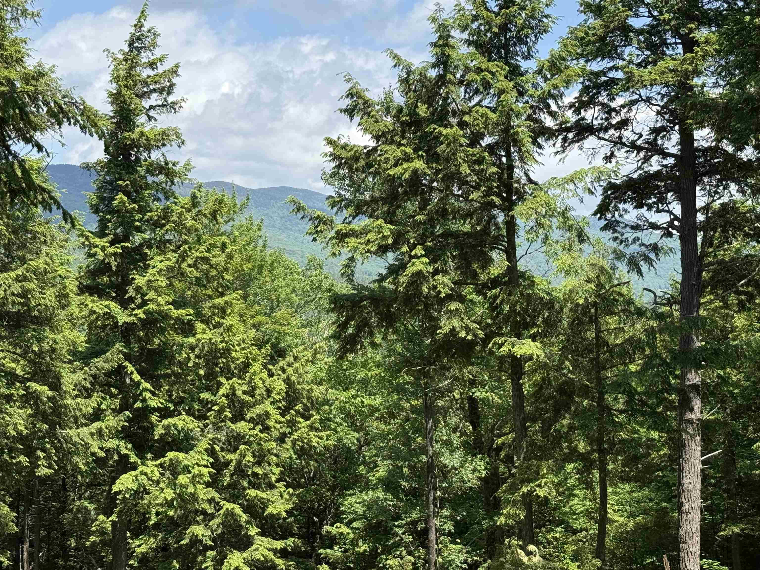 Homes for sale in Campton, NH | Lot 15 Kelly Way, Campton, NH 03223 | MLS# 5047720