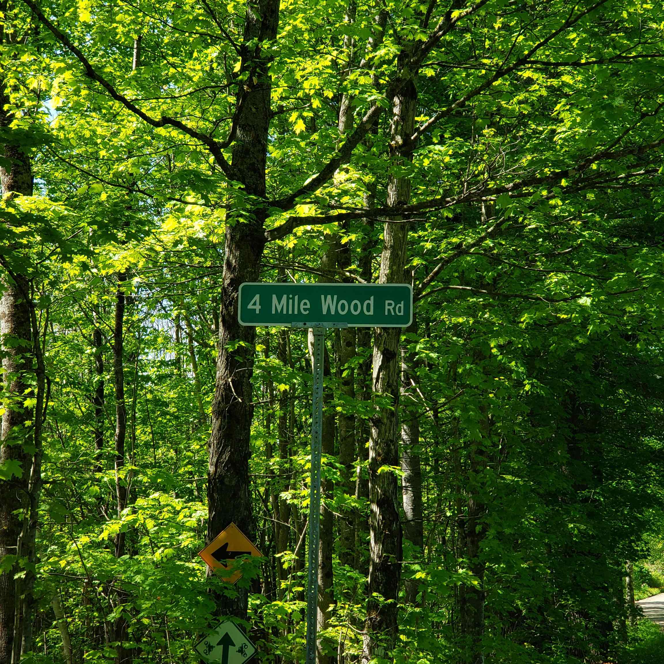 Homes for sale in Roxbury, VT | 00 Beaver Meadow Rd, Roxbury, VT 05669 | MLS# 5047721