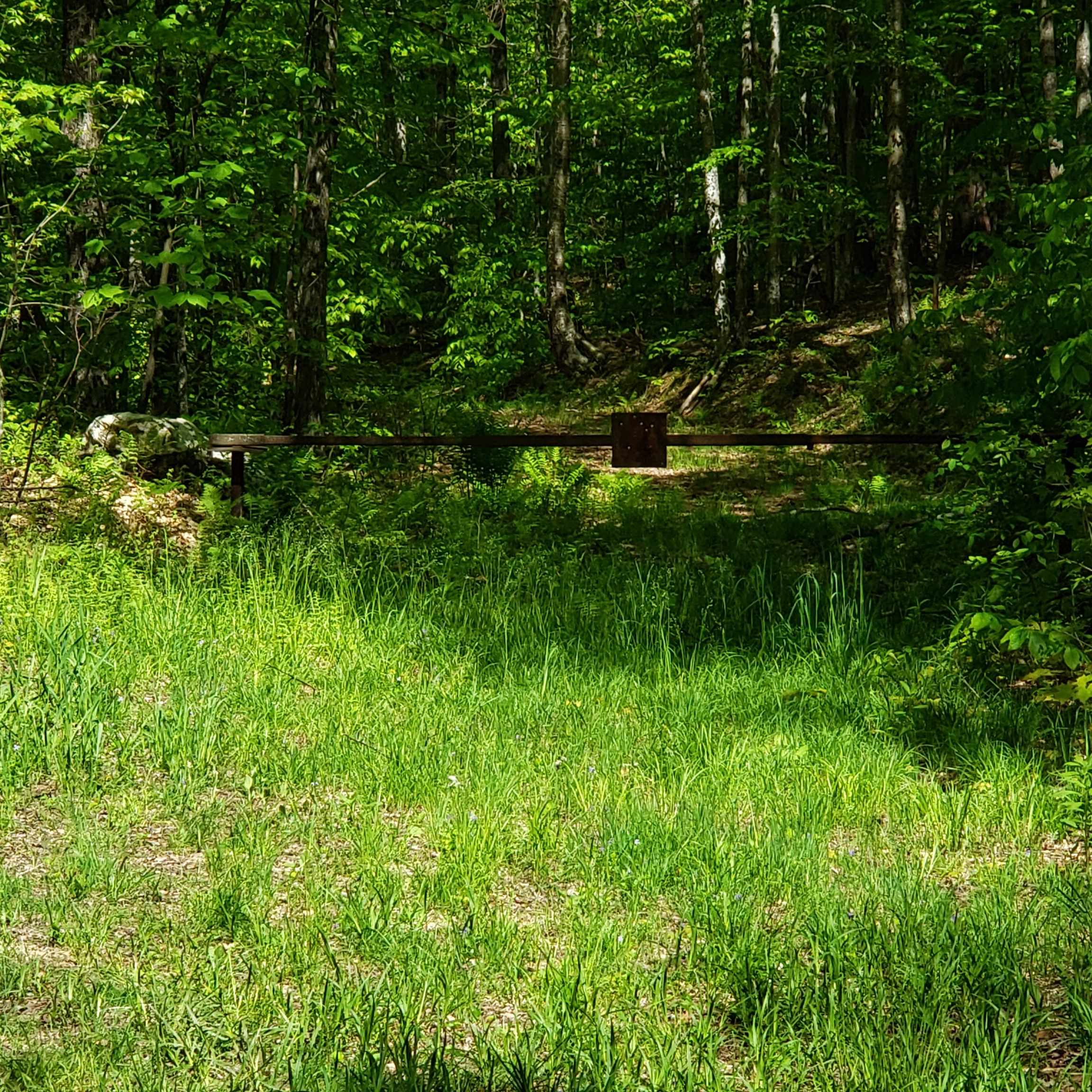 Homes for sale in Roxbury, VT | 00 Beaver Meadow Rd, Roxbury, VT 05669 | MLS# 5047721