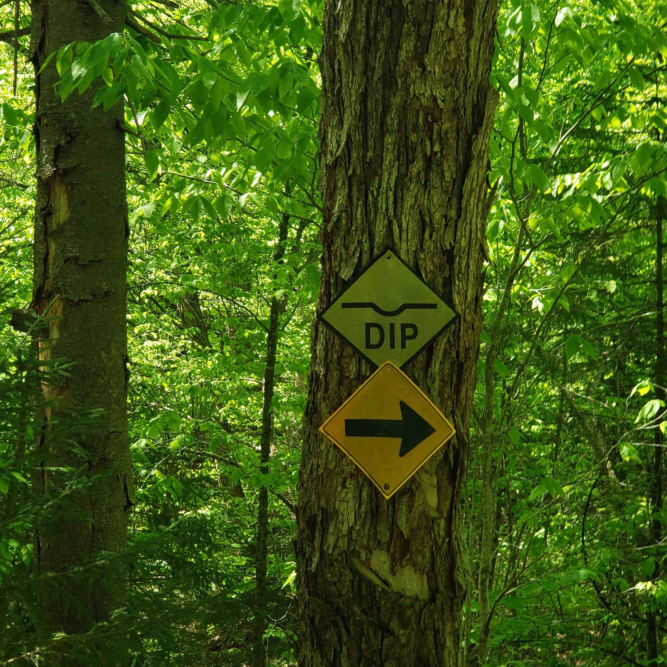 Homes for sale in Roxbury, VT | 00 Beaver Meadow Rd, Roxbury, VT 05669 | MLS# 5047721