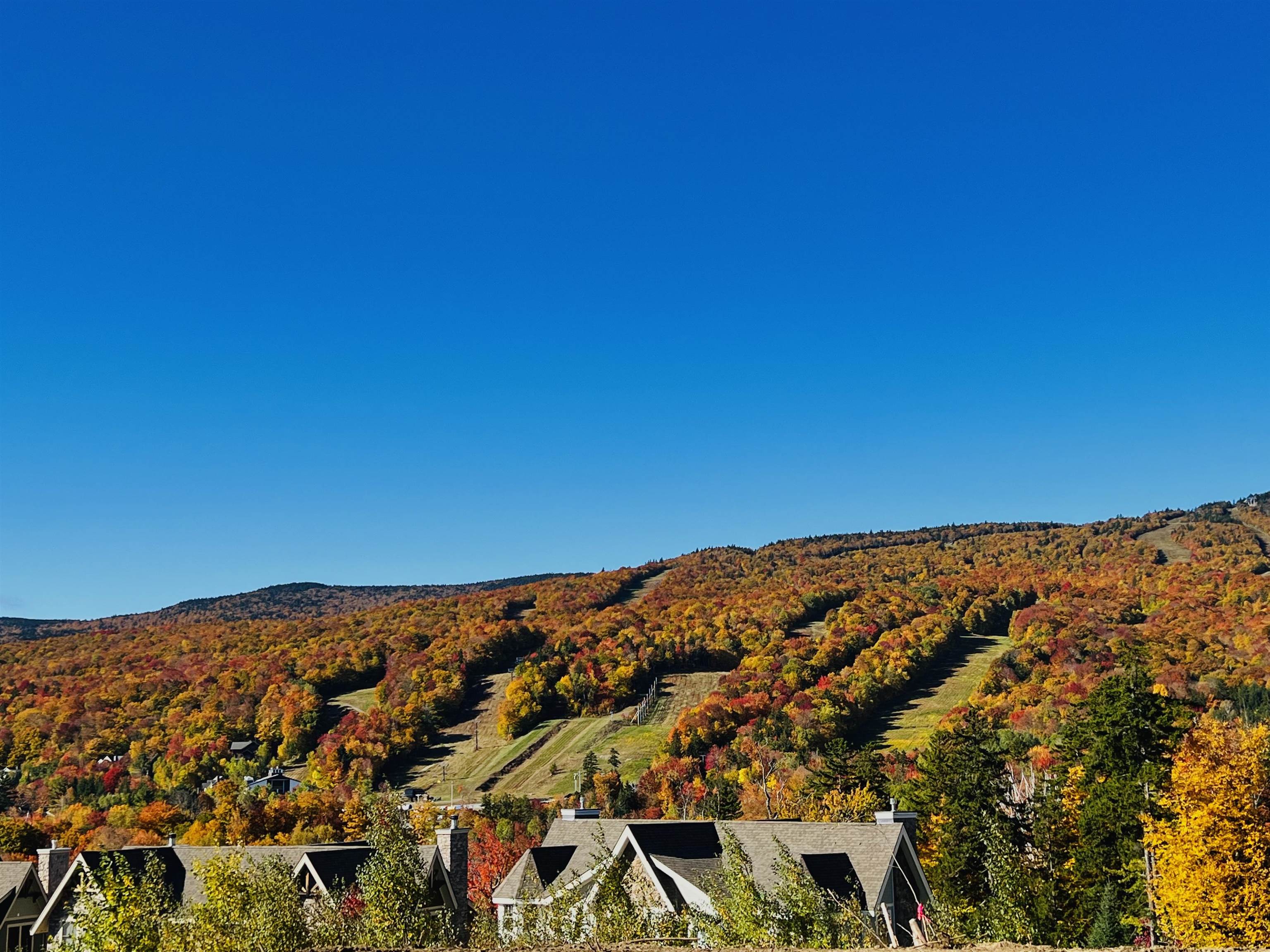 MLS #5047757 image #30