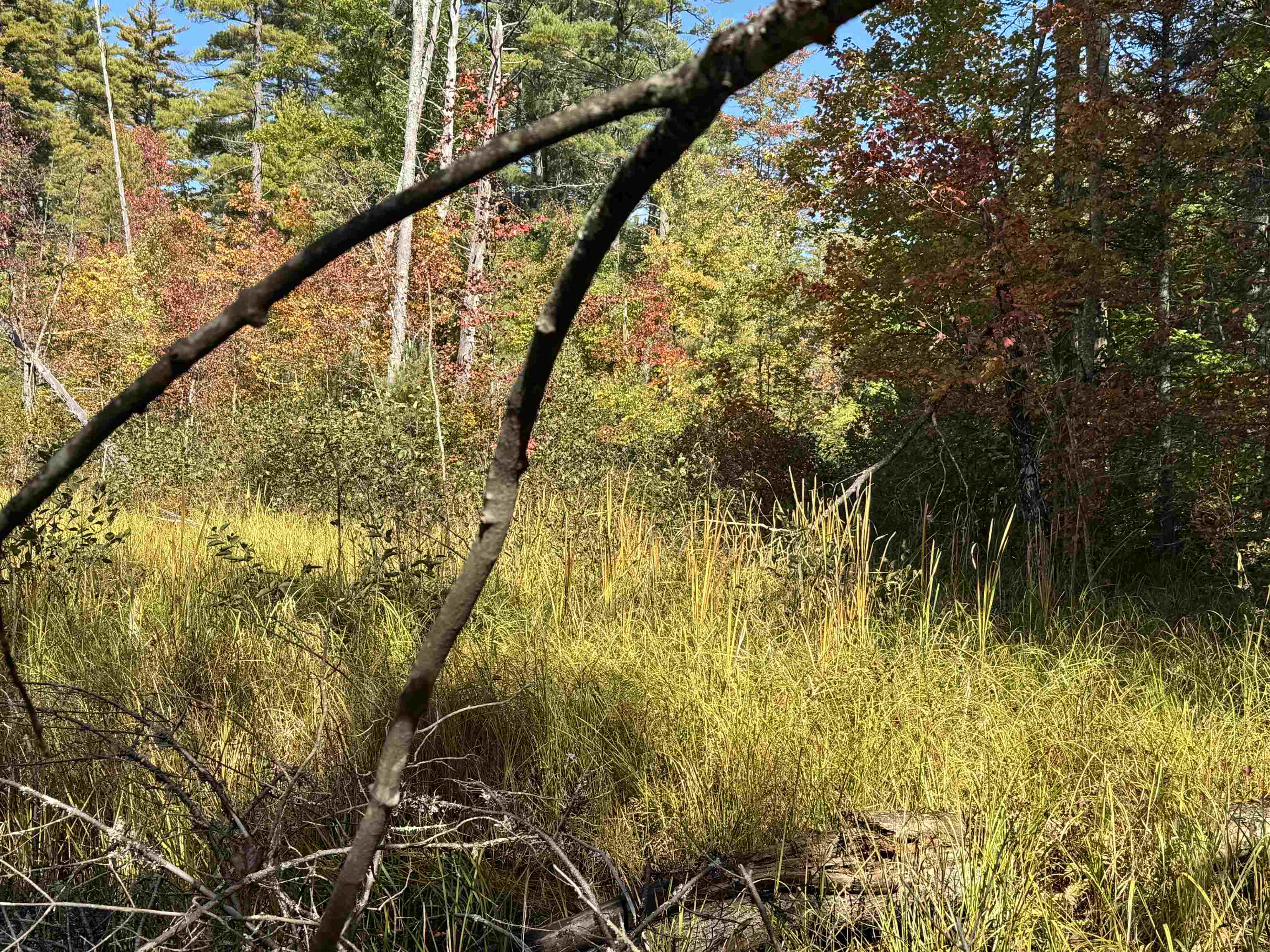 Homes for sale in Effingham, NH | 0 Green Mountain Rd, Effingham, NH 03882 | MLS# 5047768