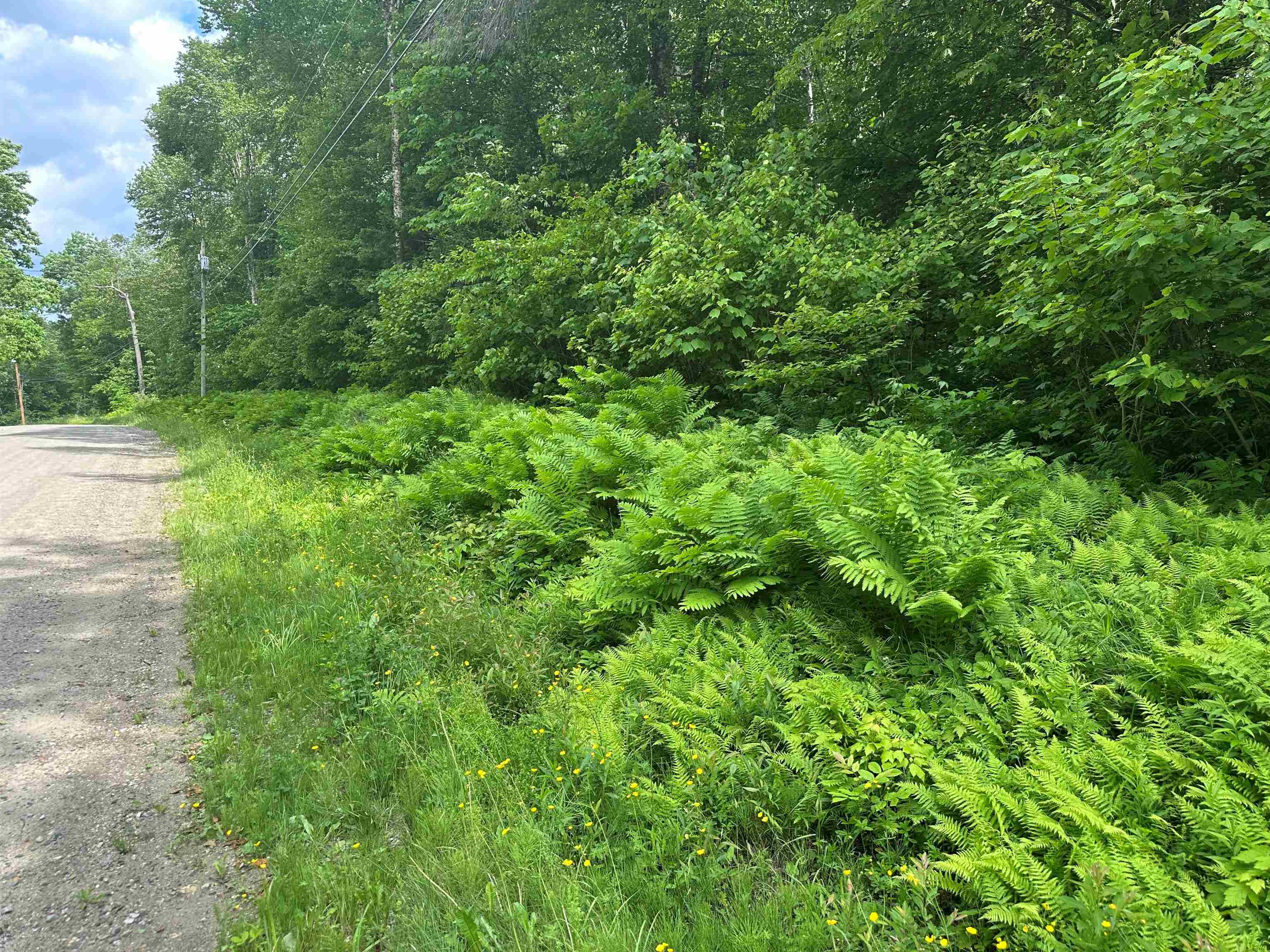 Homes for sale in Winhall, VT | 88a Sylvan Ridge Rd, Winhall, VT 05340 | MLS# 5047790