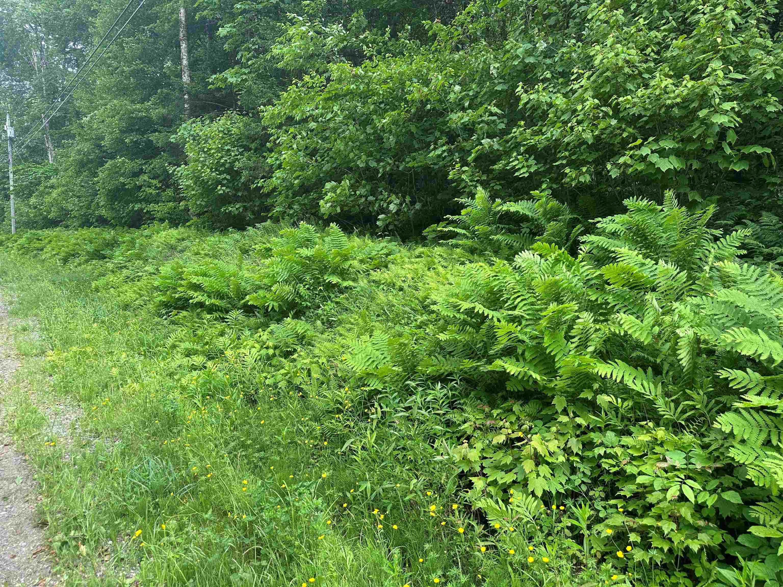 Homes for sale in Winhall, VT | 88A Sylvan Ridge Rd, Winhall, VT 05340 | MLS# 5047790