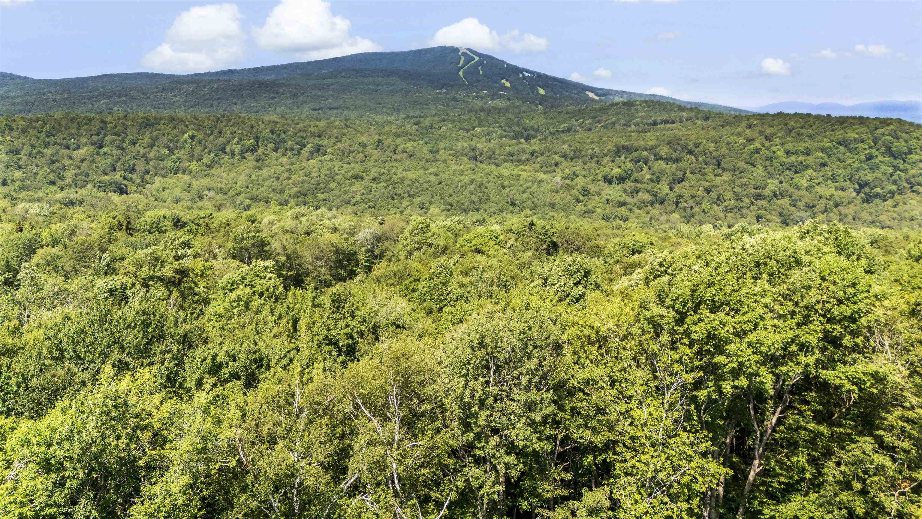 Homes for sale in Winhall, VT | 88A Sylvan Ridge Rd, Winhall, VT 05340 | MLS# 5047790