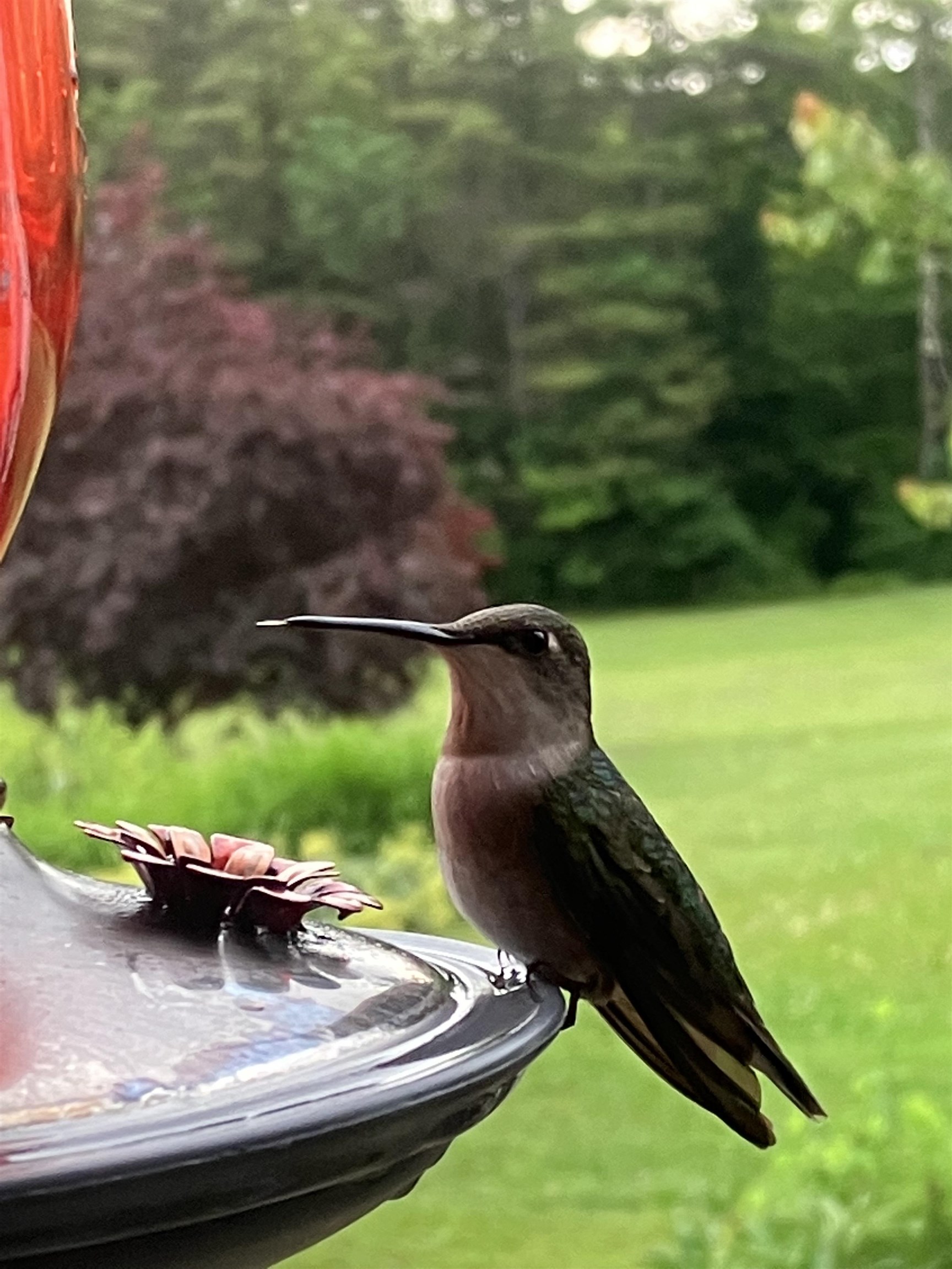 Homes for sale in Barnard, VT | 719 Walker Hill Rd, Barnard, VT 05031 | MLS# 5047791