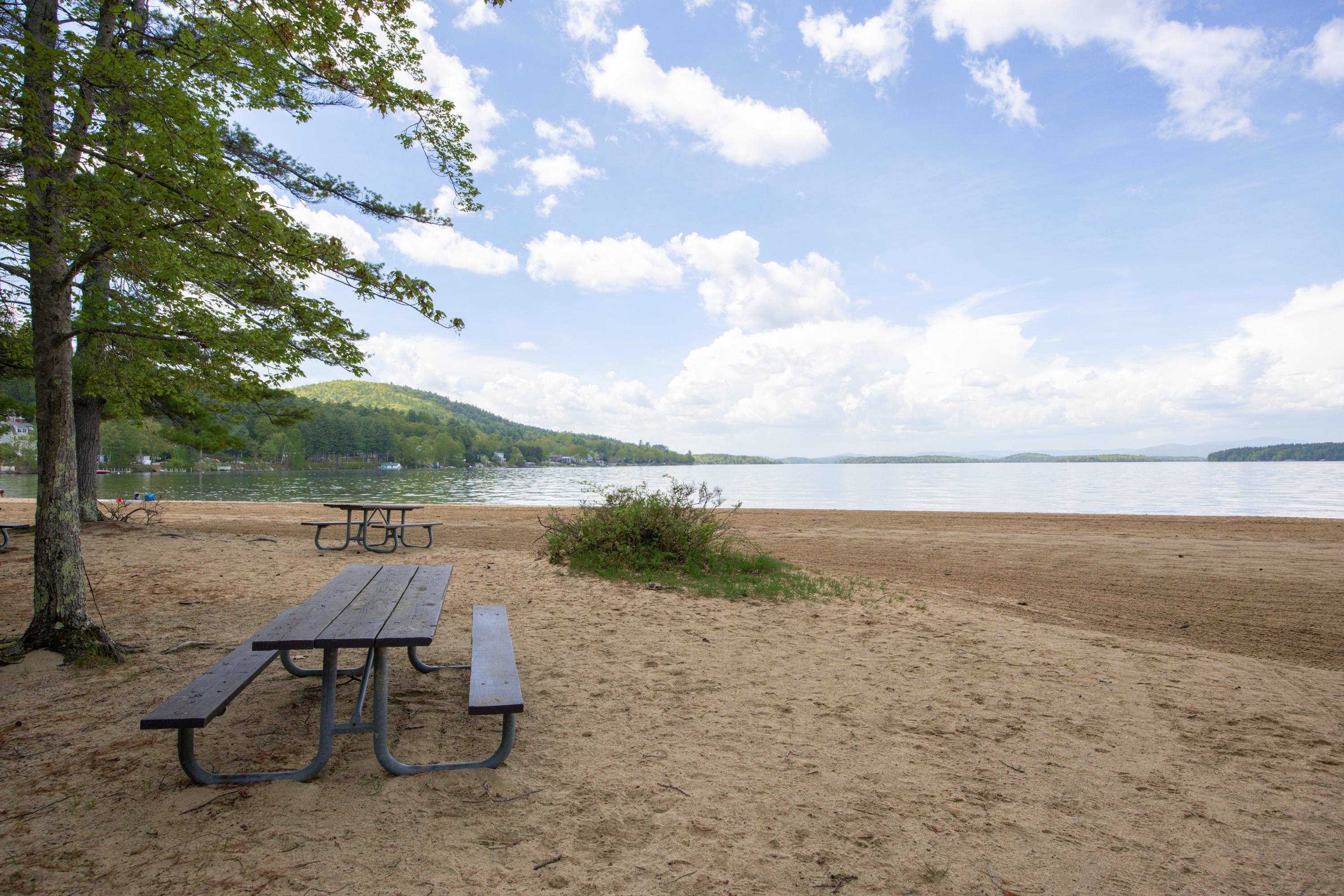 MLS #5047804 image #40