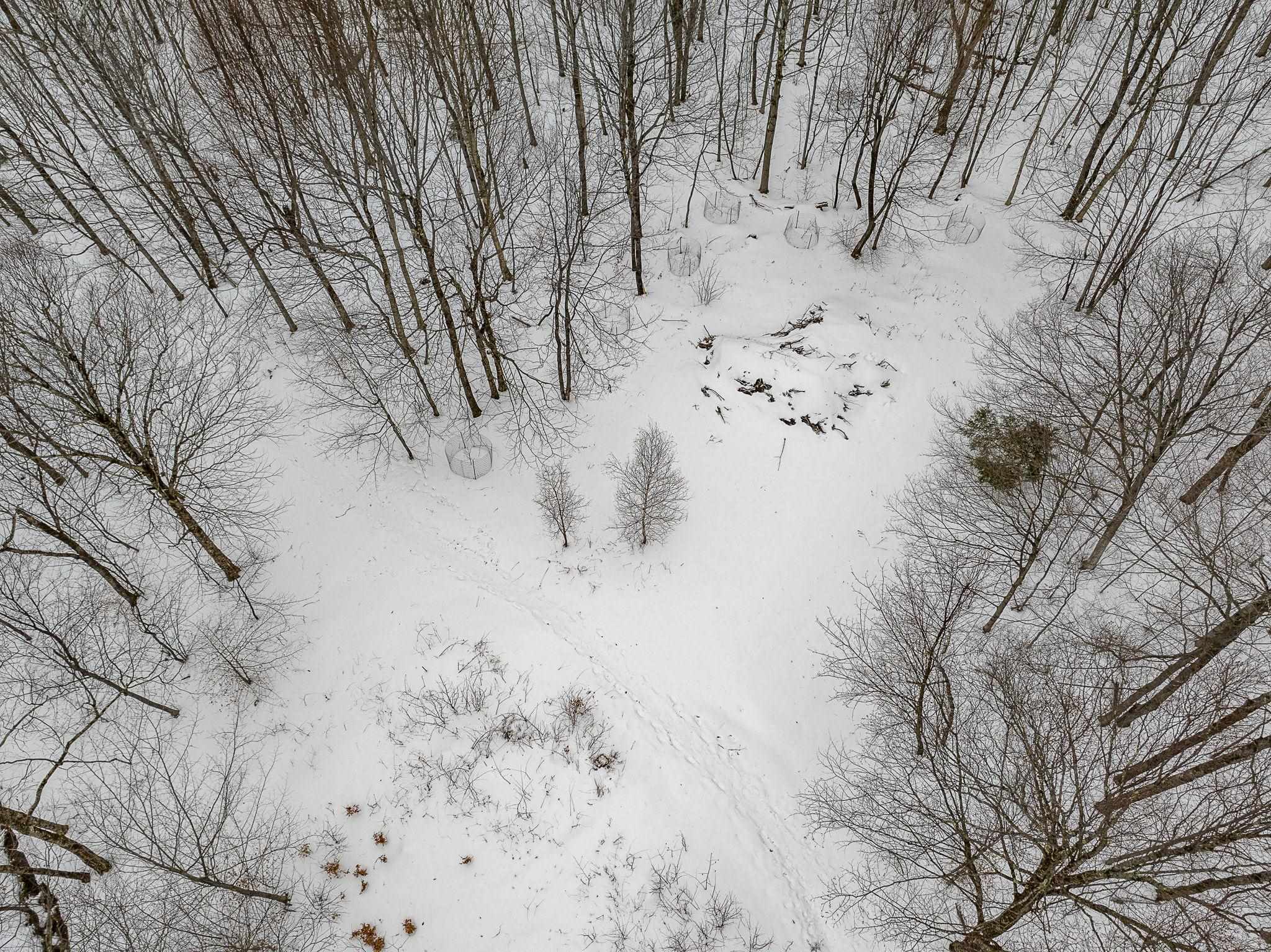 Homes for sale in Bolton, VT | 115 Stone Hill Rd, Bolton, VT 05477 | MLS# 5047840