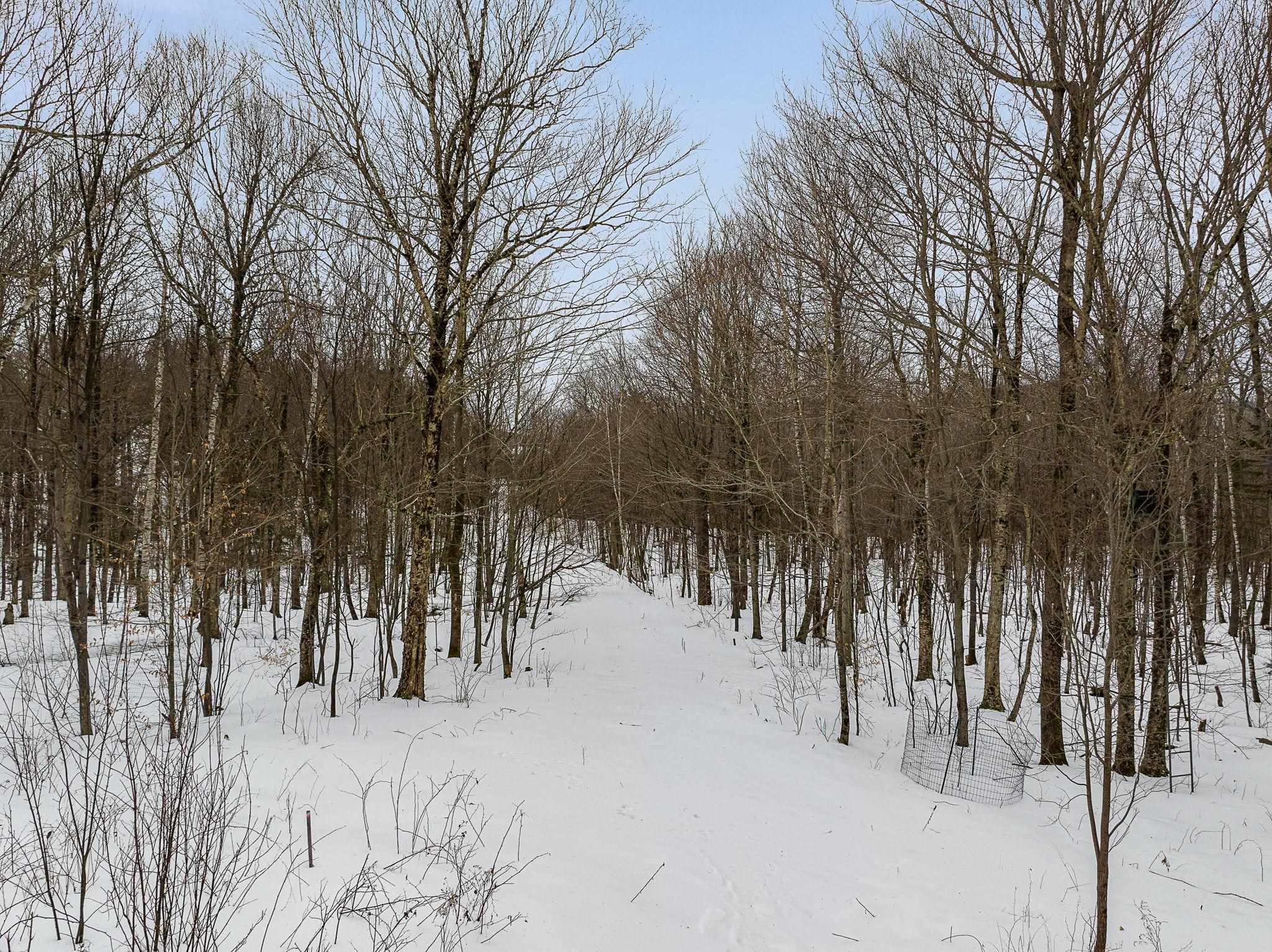 Homes for sale in Bolton, VT | 115 Stone Hill Rd, Bolton, VT 05477 | MLS# 5047840