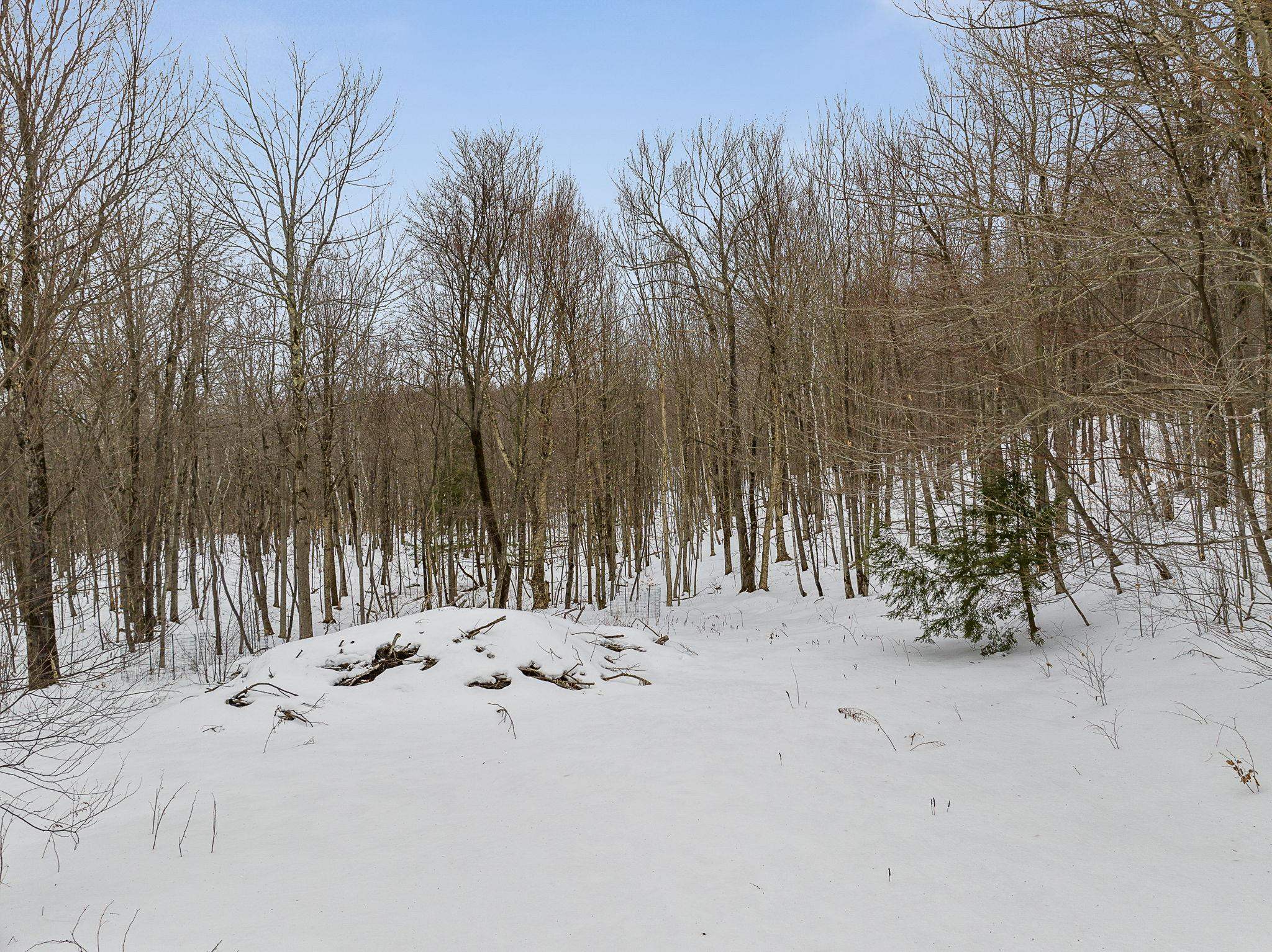 Homes for sale in Bolton, VT | 115 Stone Hill Rd, Bolton, VT 05477 | MLS# 5047840