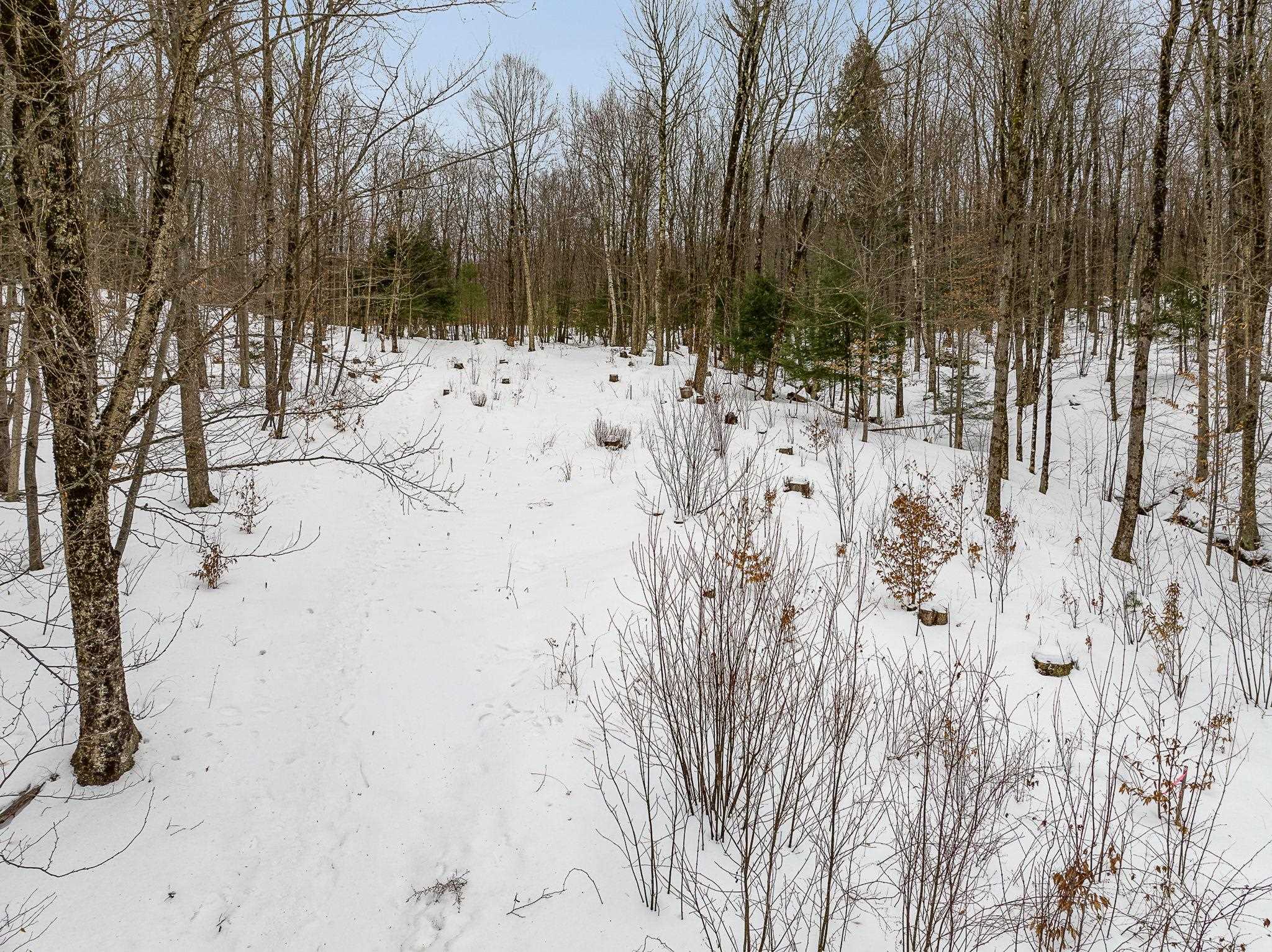 Homes for sale in Bolton, VT | 115 Stone Hill Rd, Bolton, VT 05477 | MLS# 5047840