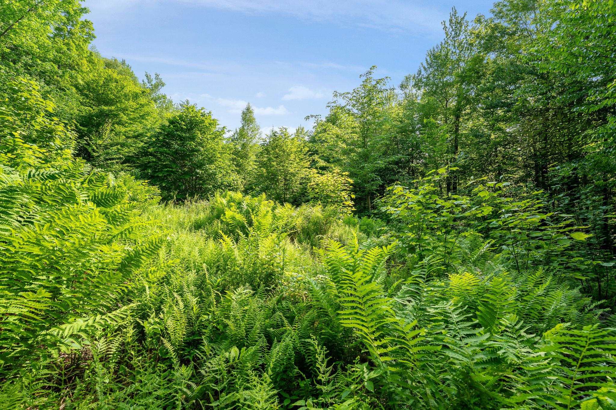 Homes for sale in Bolton, VT | 115 Stone Hill Rd, Bolton, VT 05477 | MLS# 5047840