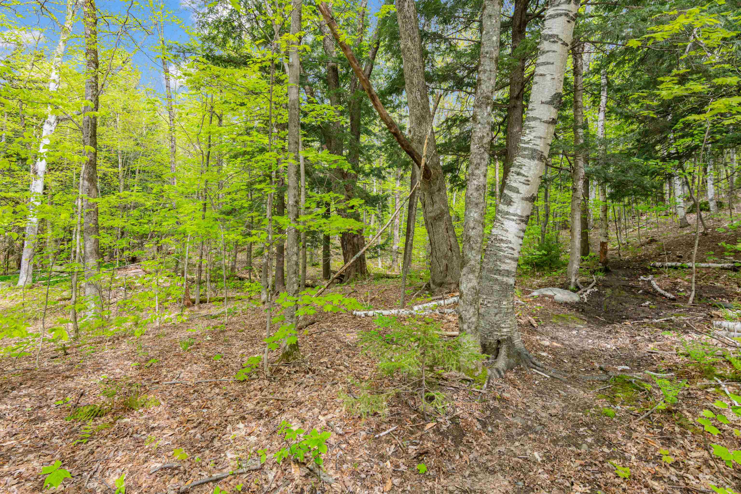 Homes for sale in Fayston, VT | 0 Phen Basin Rd, Fayston, VT 05673 | MLS# 5047857