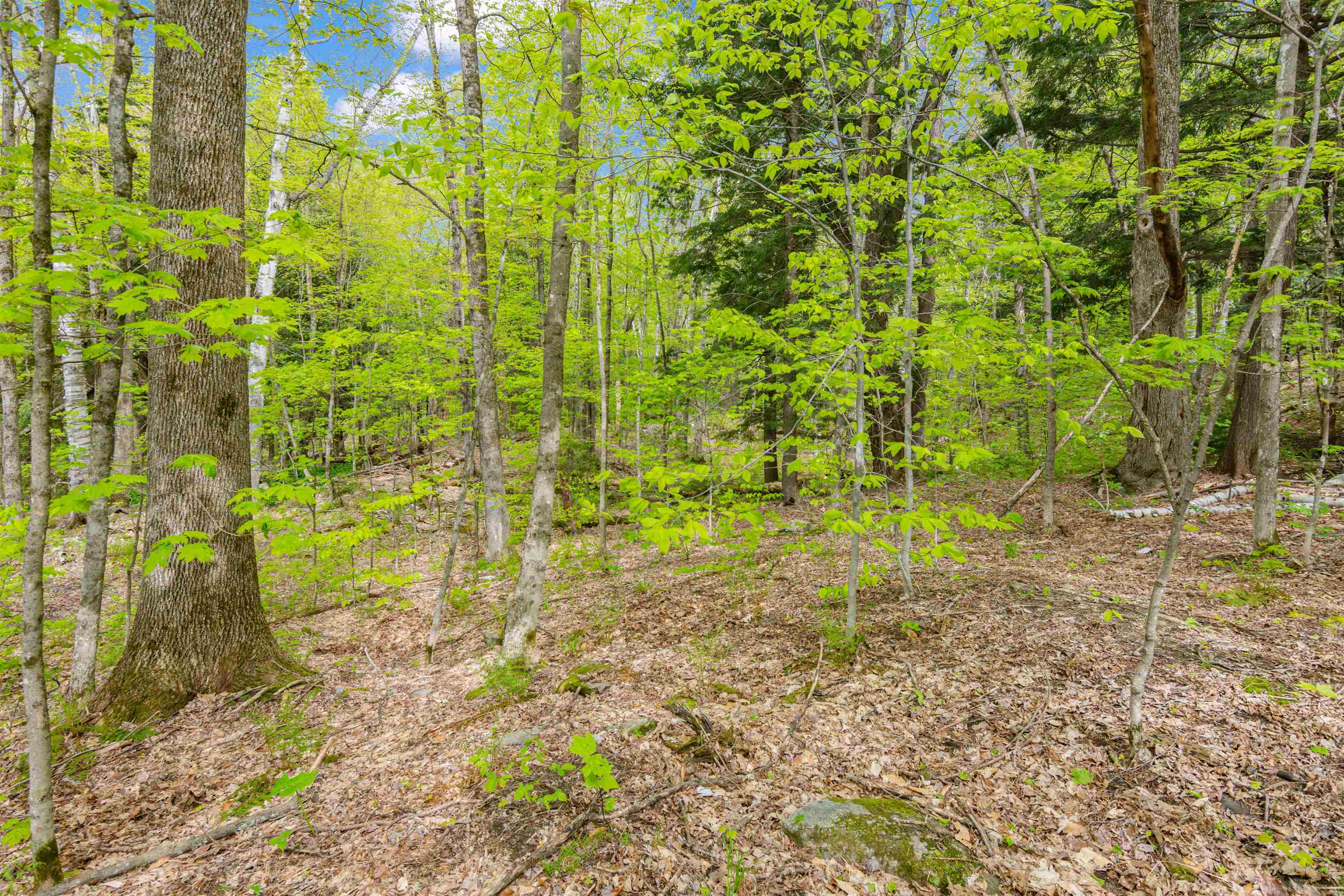 Homes for sale in Fayston, VT | 0 Phen Basin Rd, Fayston, VT 05673 | MLS# 5047857