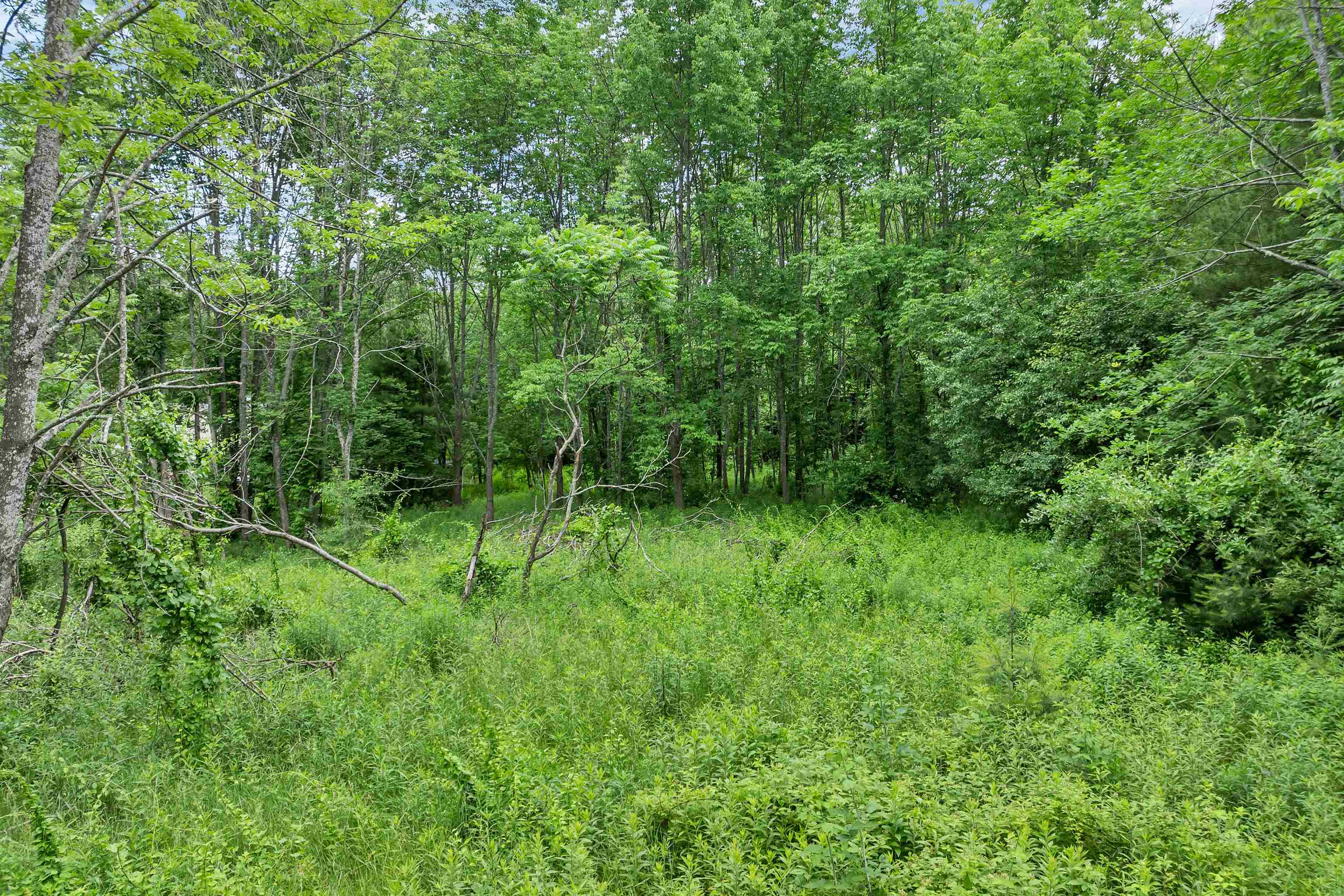 Homes for sale in Laconia, NH | 00000 Severance Rd, Laconia, NH 03246 | MLS# 5047867