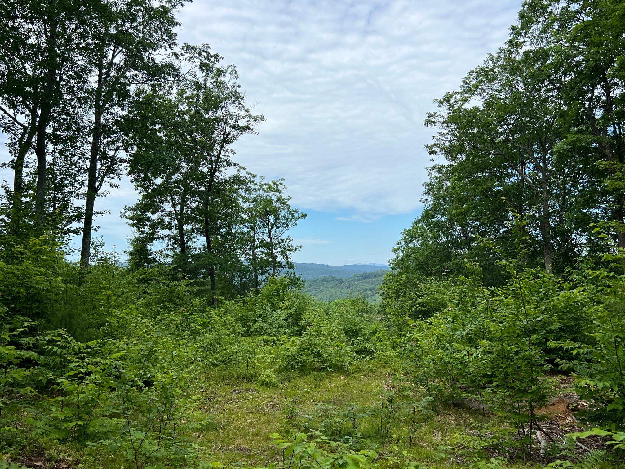 MLS #5047875 image #15