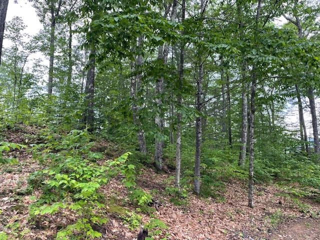 MLS #5047875 image #16