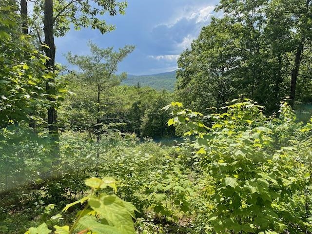 MLS #5047875 image #19