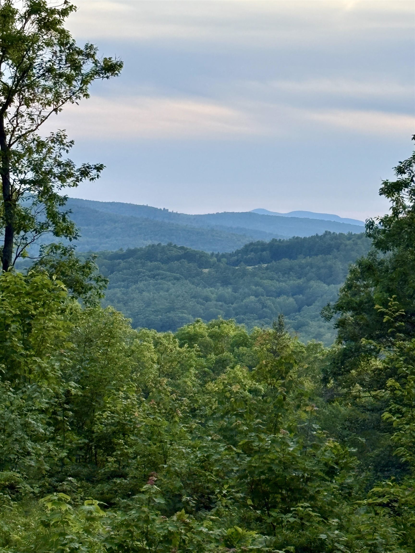 MLS #5047875 image #6