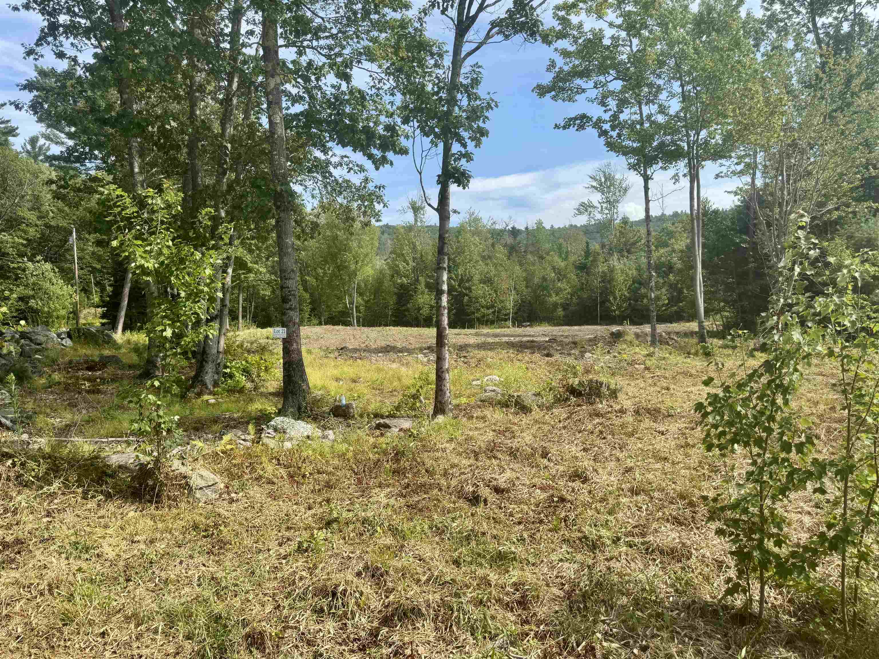 Homes for sale in Lempster, NH | Lot 21 Dodge Pond Ln, Lempster, NH 03605 | MLS# 5047920