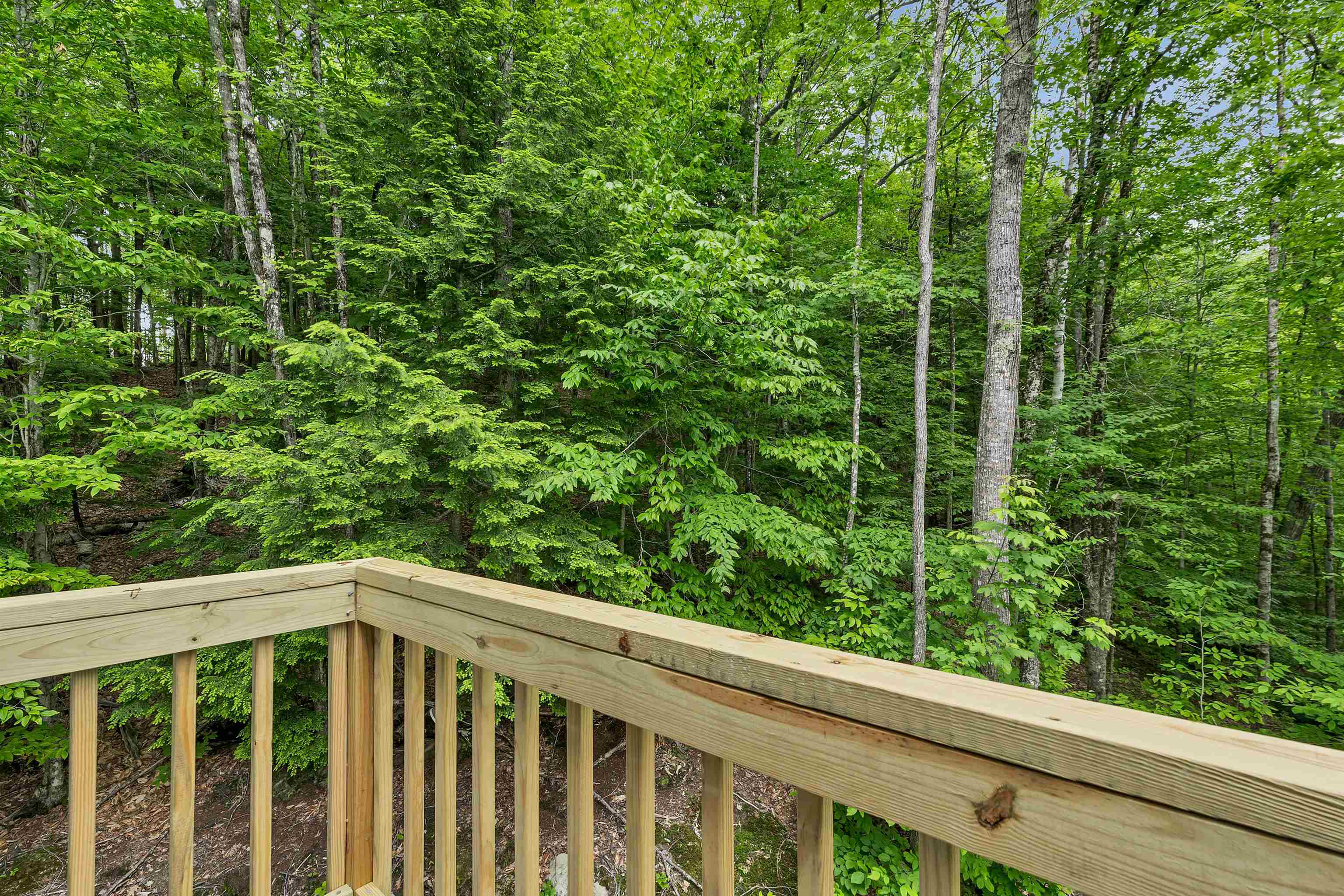 MLS #5048061 image #10