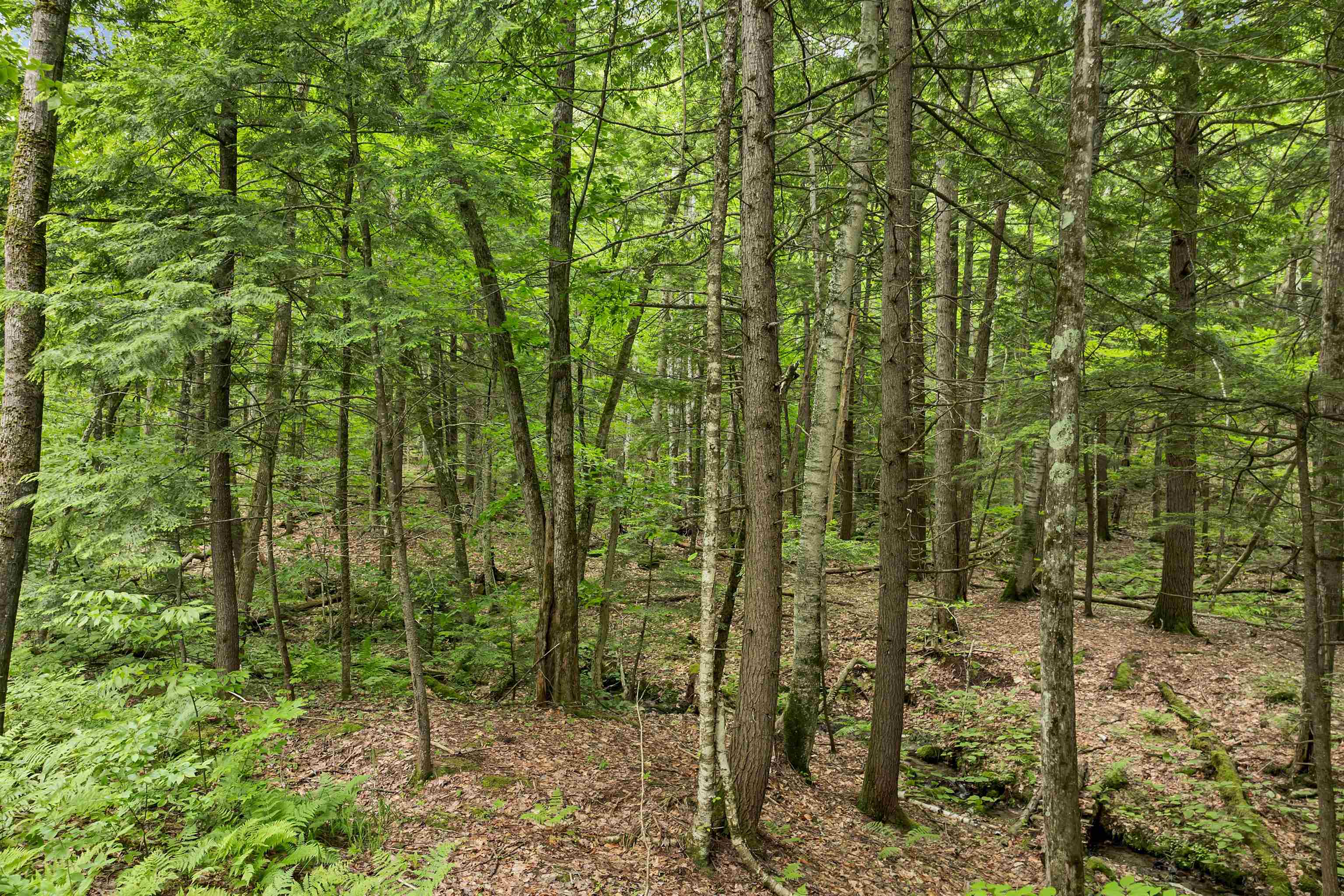 MLS #5048061 image #18