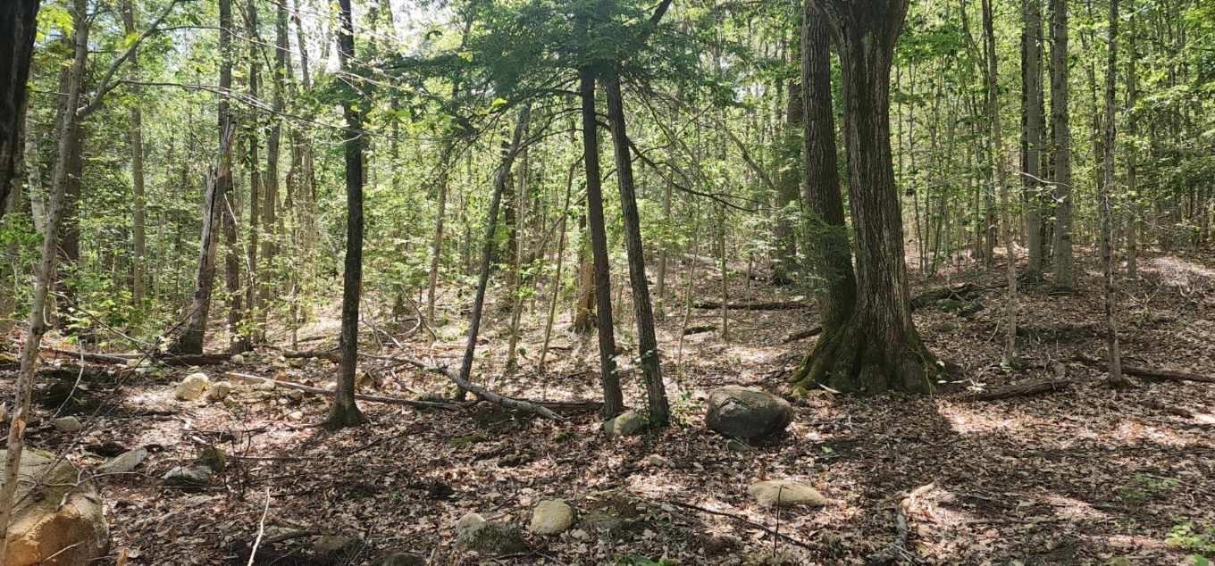 Homes for sale in Wakefield, NH | Map 223 Lot 31 Access Rd, Wakefield, NH 03872 | MLS# 5048079