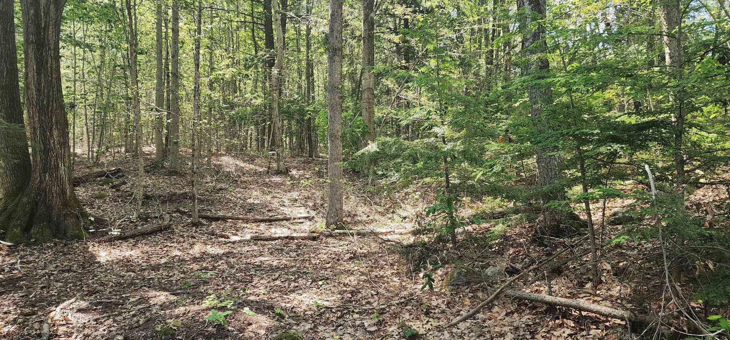 Homes for sale in Wakefield, NH | Map 223 Lot 31 Access Rd, Wakefield, NH 03872 | MLS# 5048079