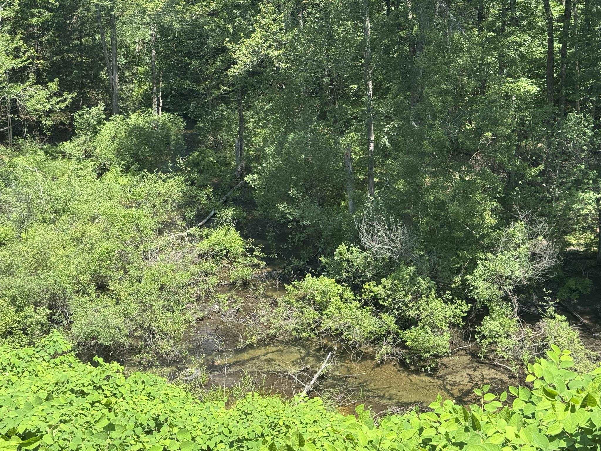 Homes for sale in Chesterfield, NH | 36 Canal St, Chesterfield, NH 03462 | MLS# 5048121