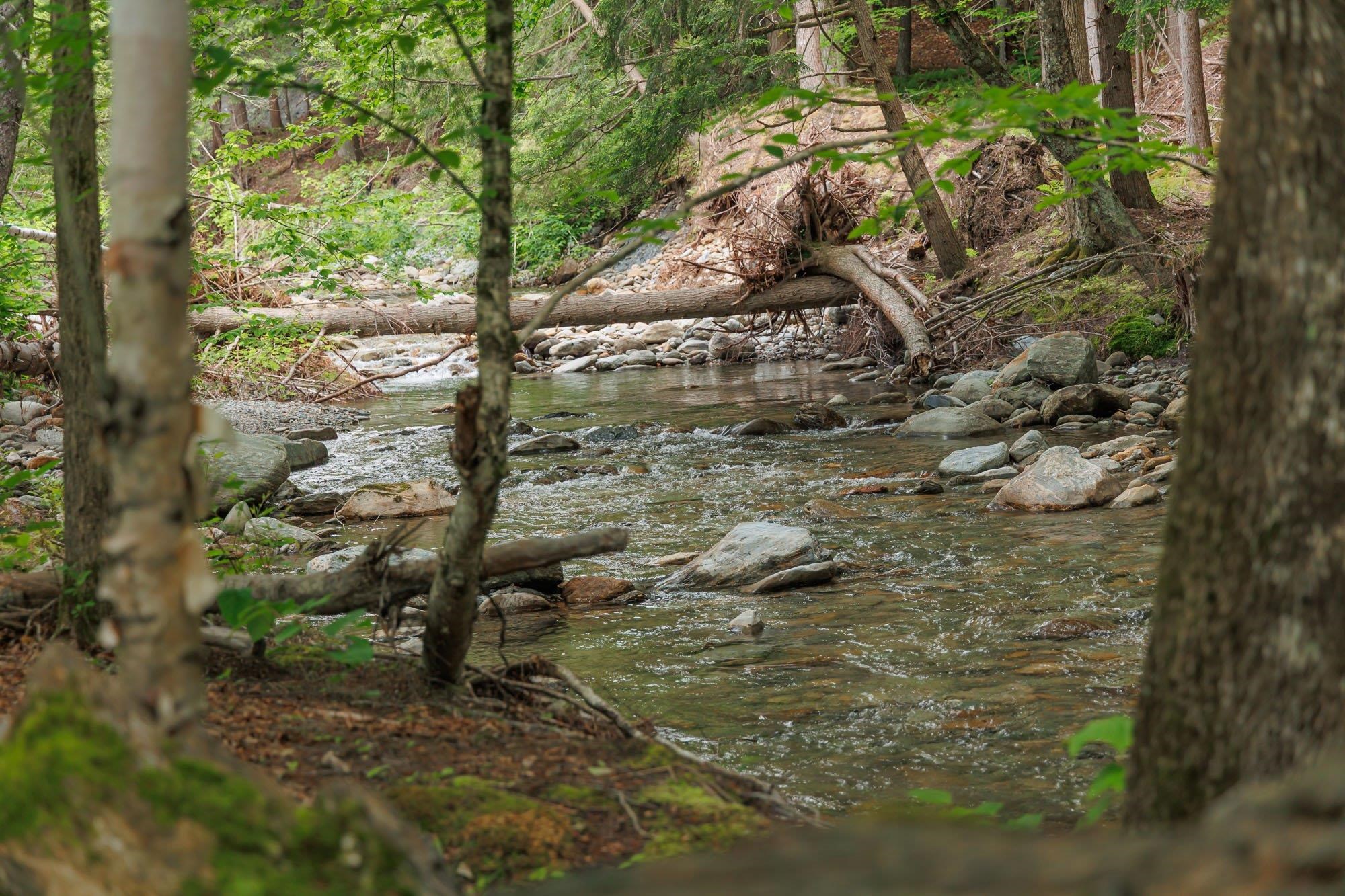 Homes for sale in Stowe, VT | 2042 Nebraska Vly, Stowe, VT 05672 | MLS# 5048134