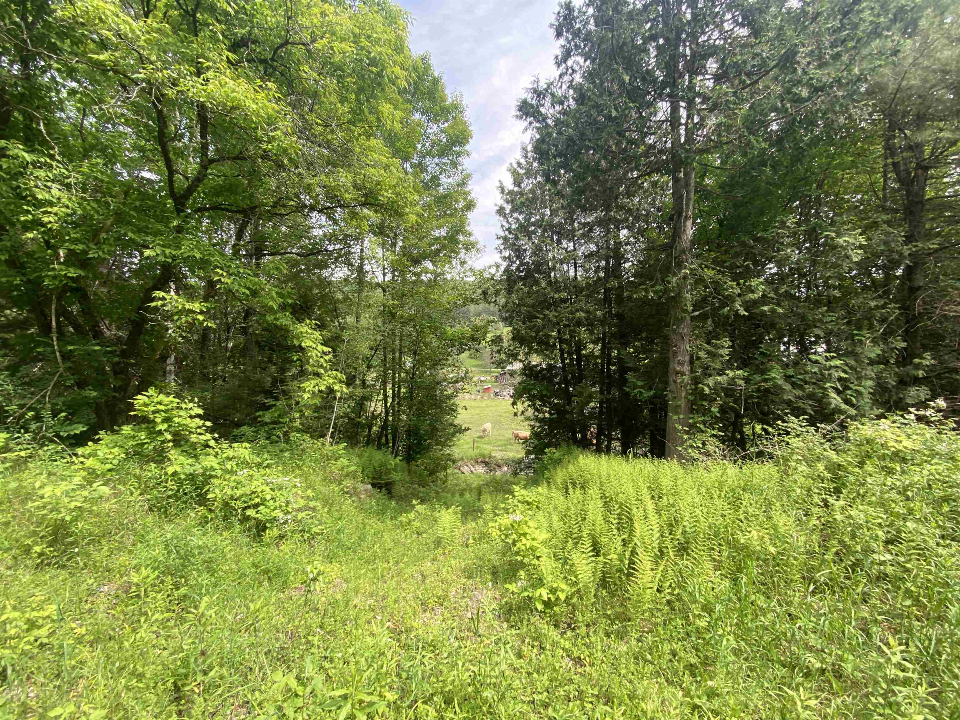 Homes for sale in Waterford, VT | 0 Simpson Brook Rd, Waterford, VT 05848 | MLS# 5048153