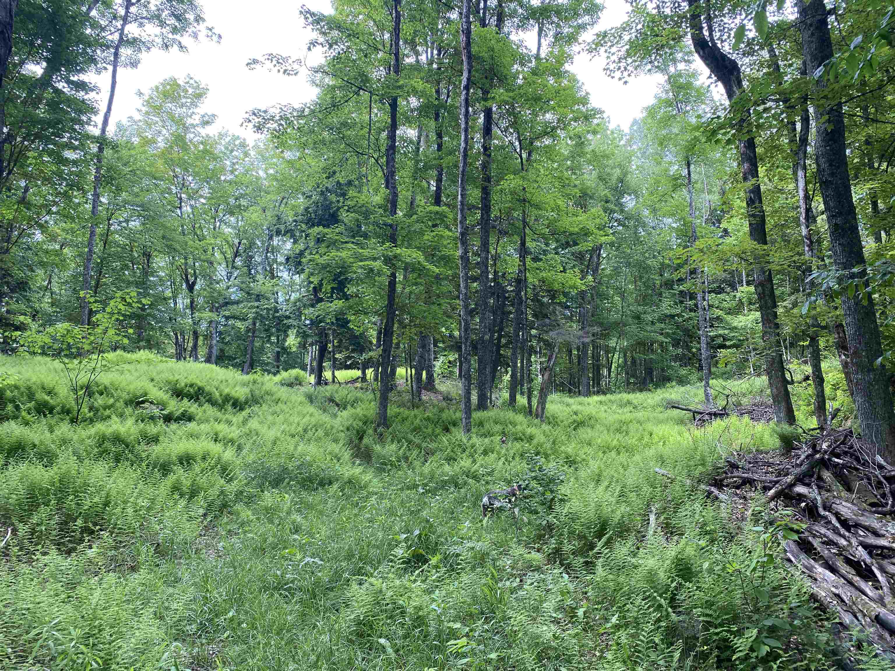 Homes for sale in Waterford, VT | 0 Simpson Brook Rd, Waterford, VT 05848 | MLS# 5048153